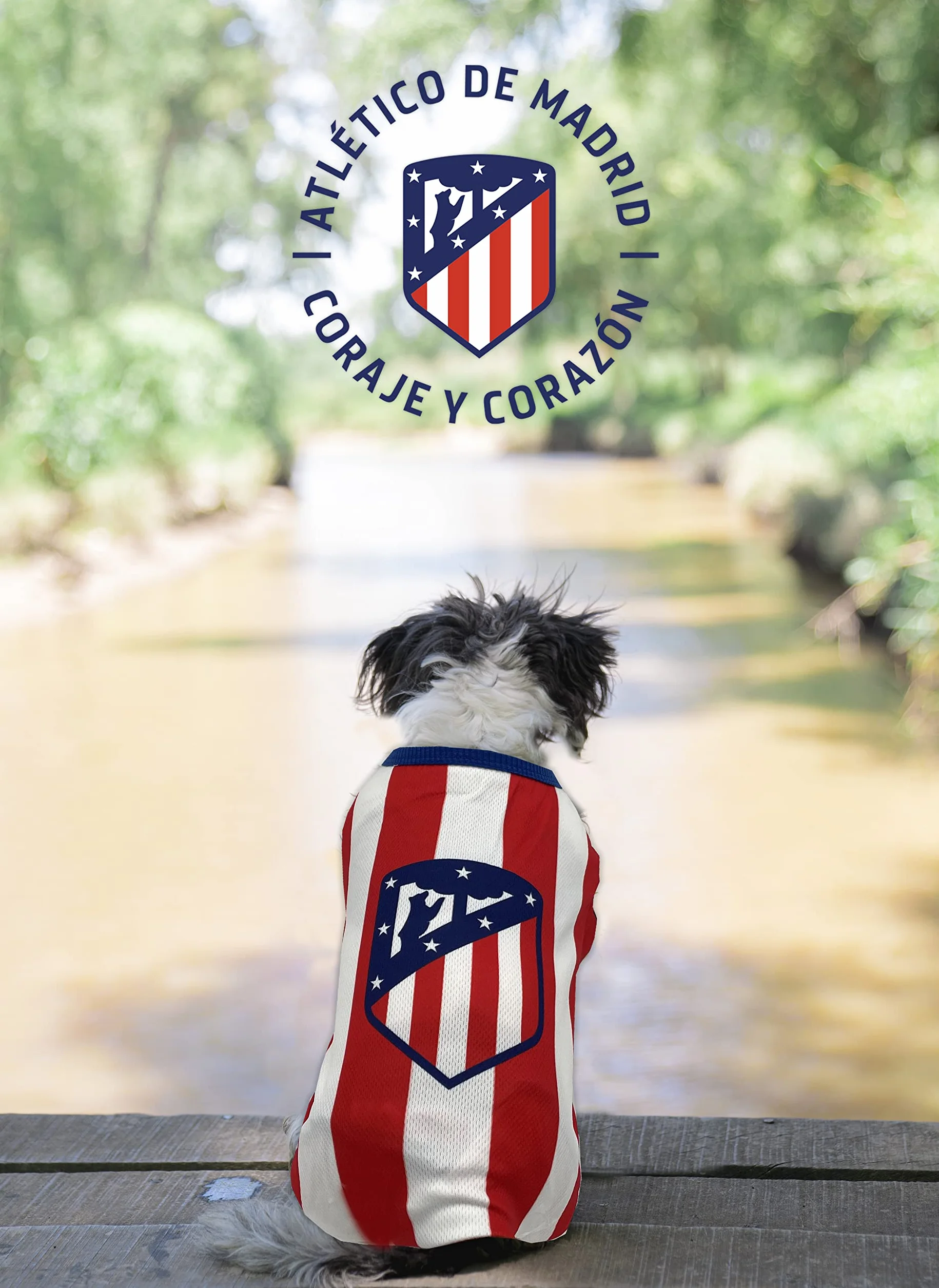 Atletico de Madrid SH-01XXS-ATL koszulka dla psa, rozmiar XXS