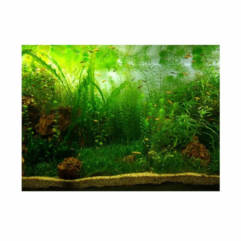 Akwarium plakat w tle trawa wodna styl akwarium tło klej do pvc dekoracje ścienne naklejki naklejki papierowe (61 * 30cm)