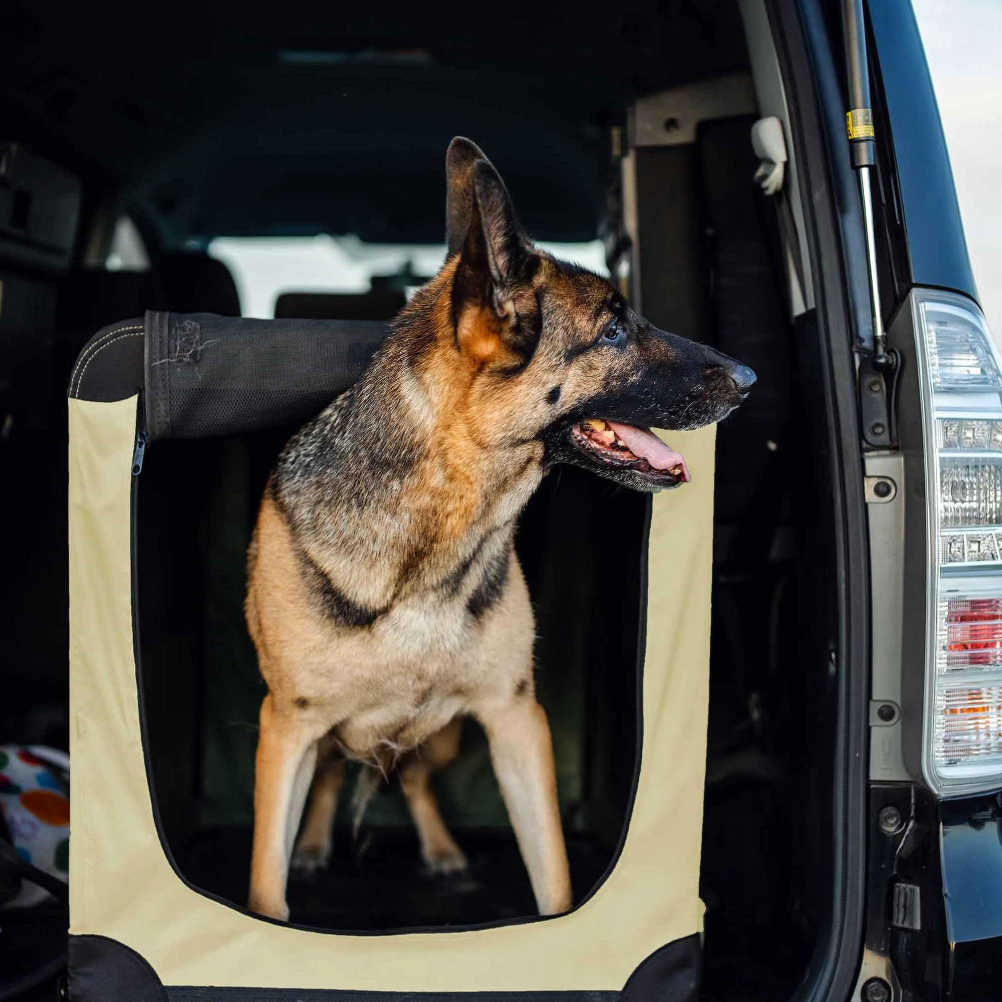 Fudajo Składany transporter dla psa i kota XXXL (101x68x70 cm) beżowy, klatka transportowa z poduszką, lekka torba do samochodu dla zwierząt do max. 30 kg