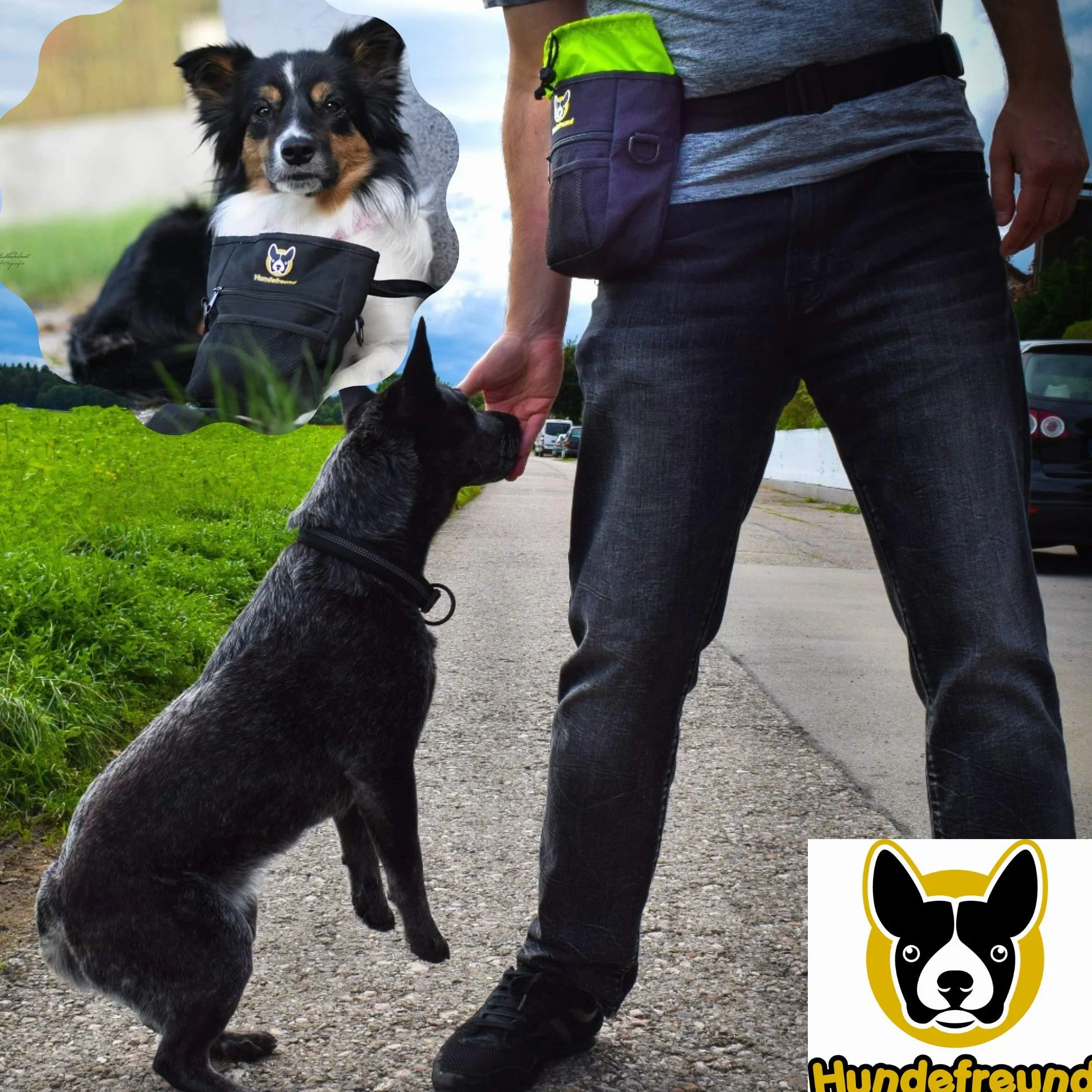 Hundefreund Duża torba na karmę dla psów | 4 w 1 torba na karmę z paskiem na brzuch, klipsem na pasek, szlufkami na pasek i paskiem na ramię | 4 przegródki na smakołyki (19 x 14 x 7 cm)