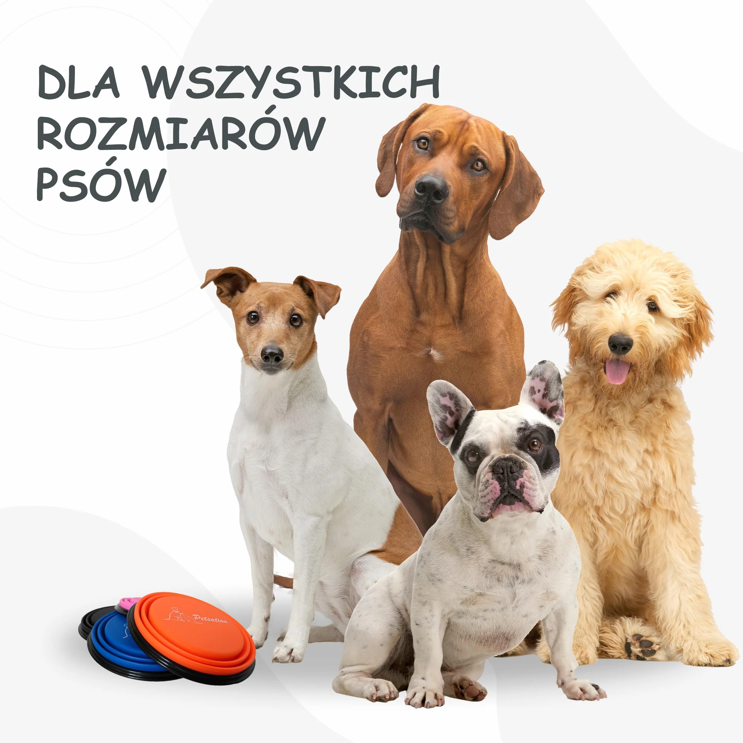 Składana miska dla psa w podróży [oryginalna] miska podróżna, miska na jedzenie i wodę dla psów 1000 ml, idealna do podróży, spacerów i na co dzień – lekka, kompaktowa (1000 ml, czarna)
