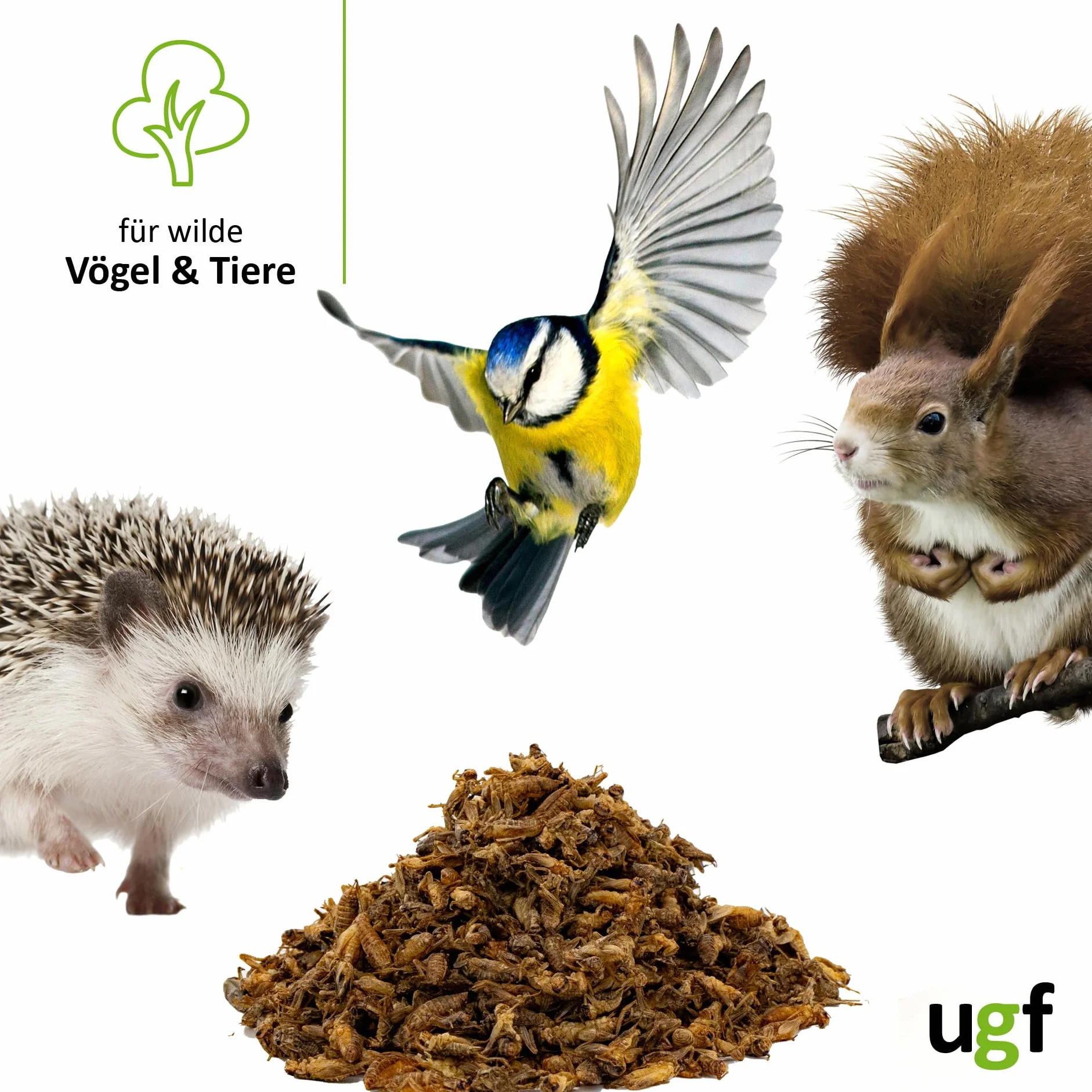 UGF - Suszone małe świerszcze - 400 g w wiaderku 3-litrowym, Owady świerszczowe, Karma dla ptaków dzikich (całoroczna), Karma dla żółwi, Karma dla jeży, Karma dla jaszczurek, Karma dla ryb