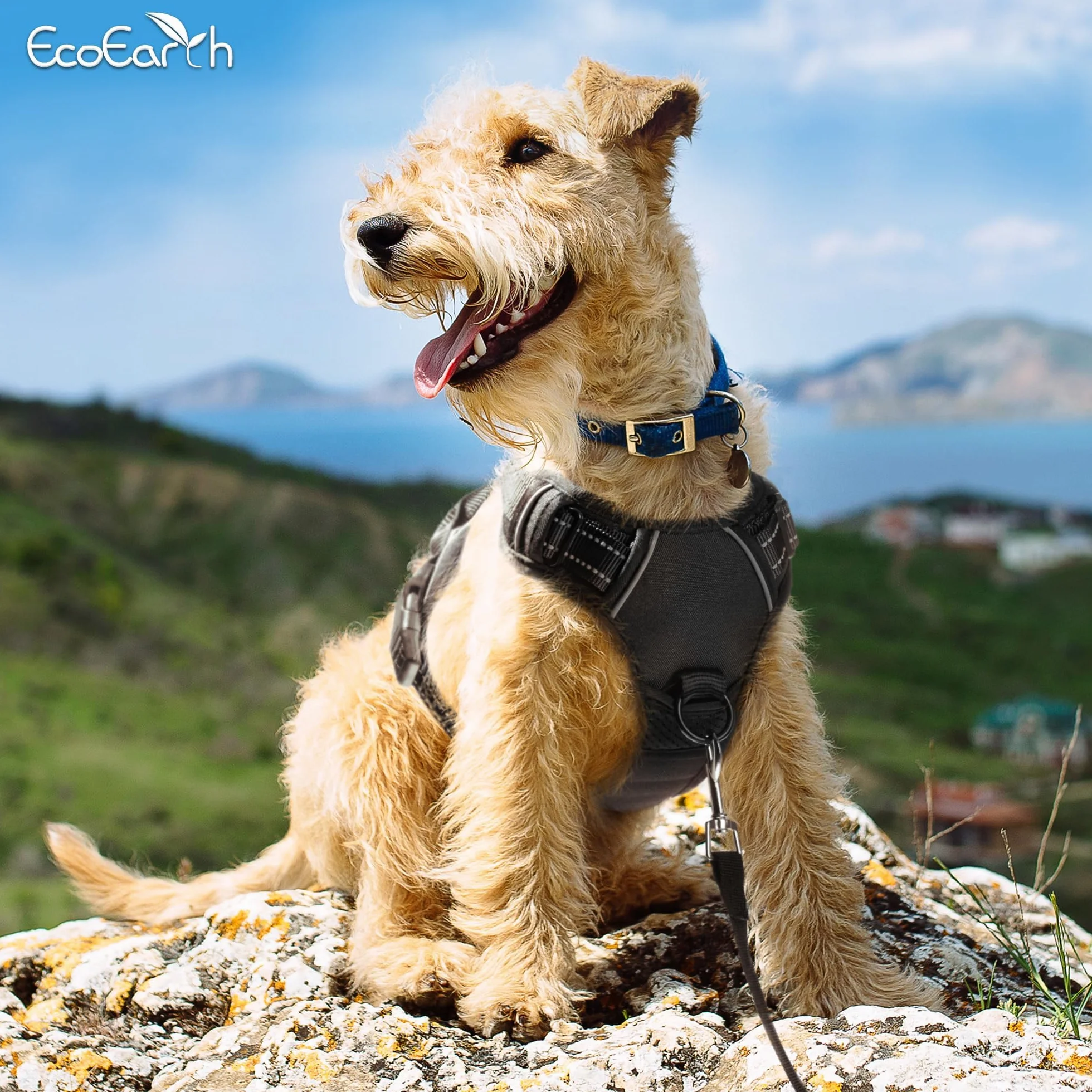 Dog Harness for Medium Dogs - Medium, Black - Soft Padded, Adjustable No Pull Design Pet Harness for Running and Hiking - by EcoEarth