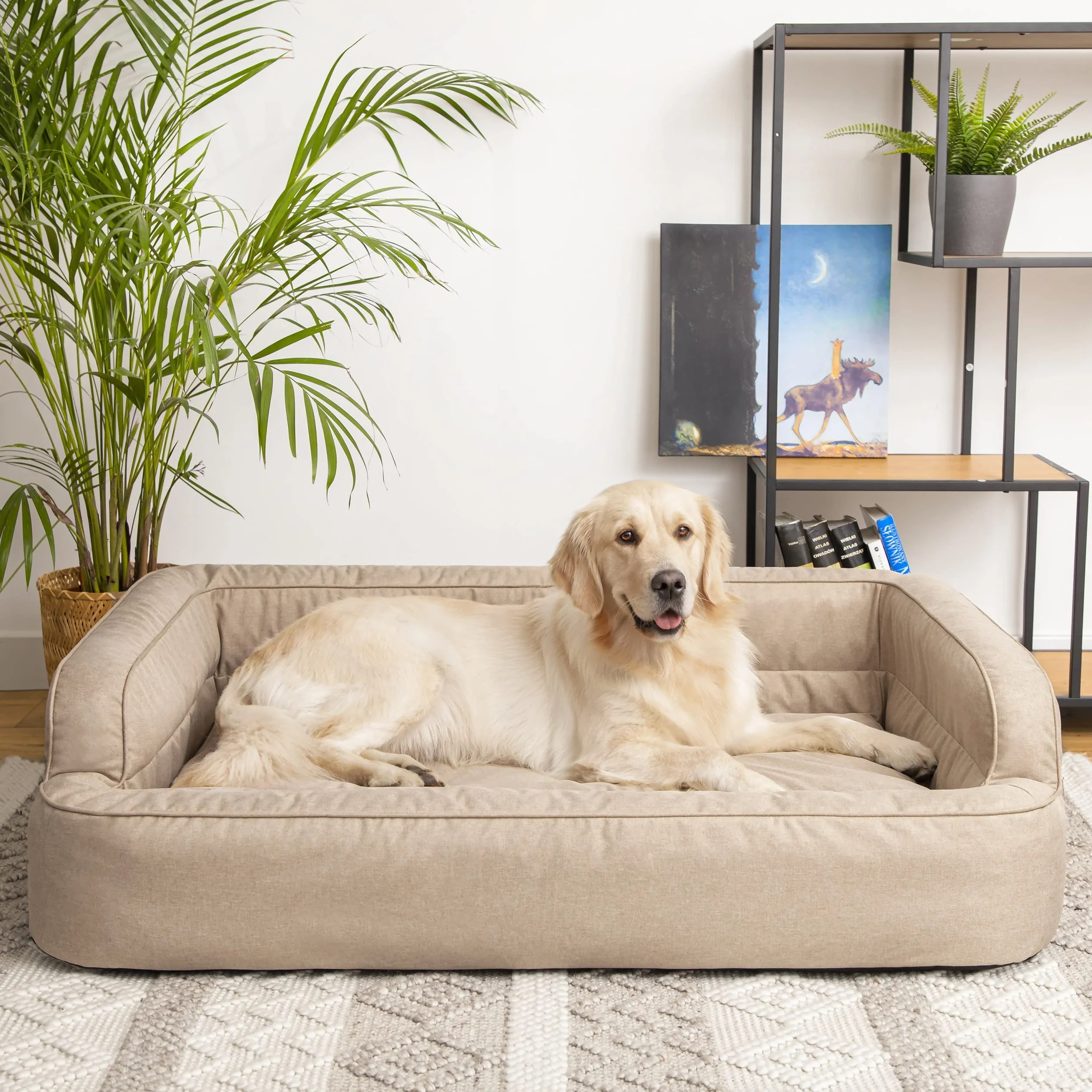 PillowPrim Legowisko dla Psa i Kota - Zdejmowana Poszewka, Poduszka, Miejsce do Spania, Sofa - Beżowe, XXL: 117 x 79 cm
