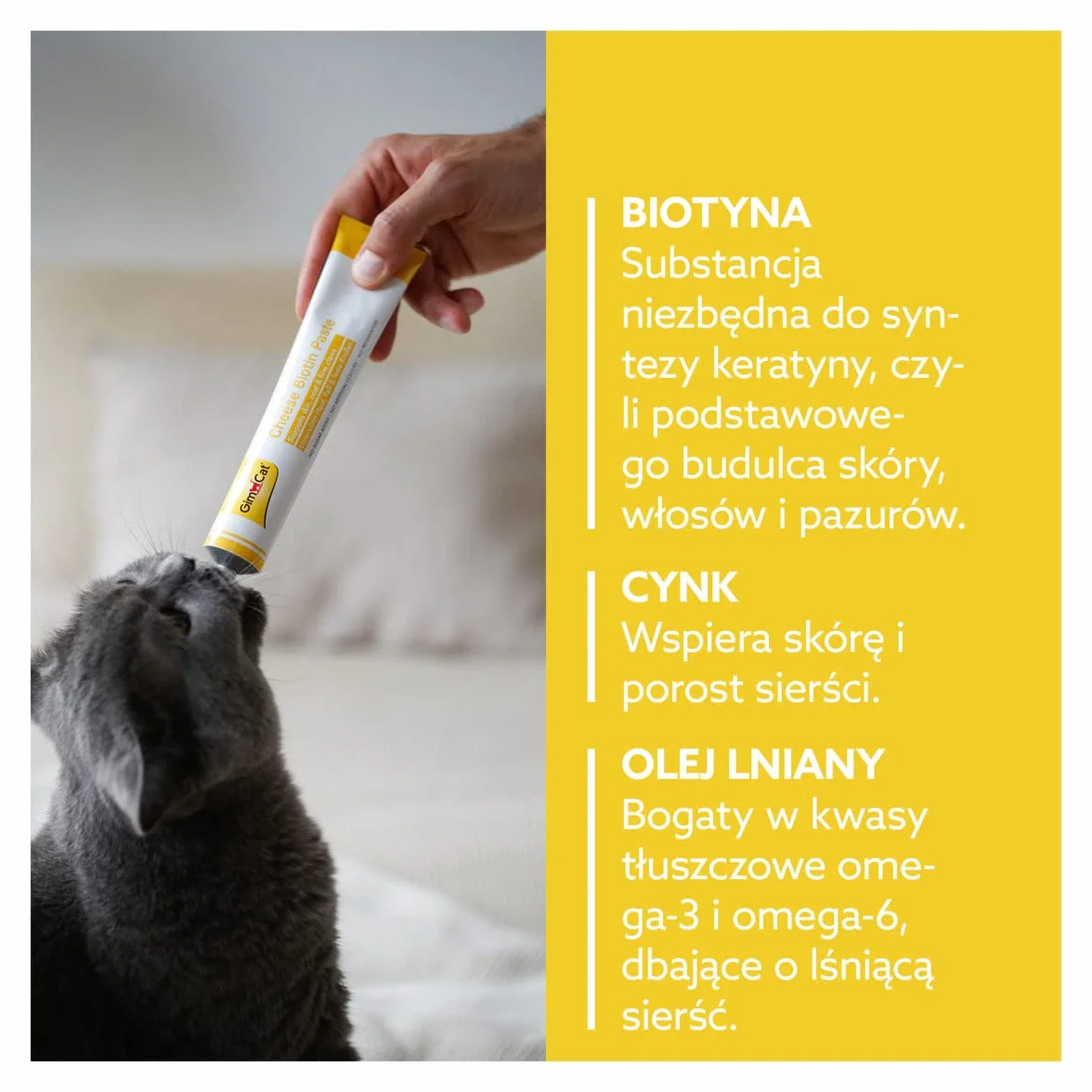 GimCat Cheese Biotin pasta serowa z biotyną - z aromatycznym serem, cynkiem i olejem lnianym dla sierści, skóry i pazurów - 1 tubka (1 x 50 g)