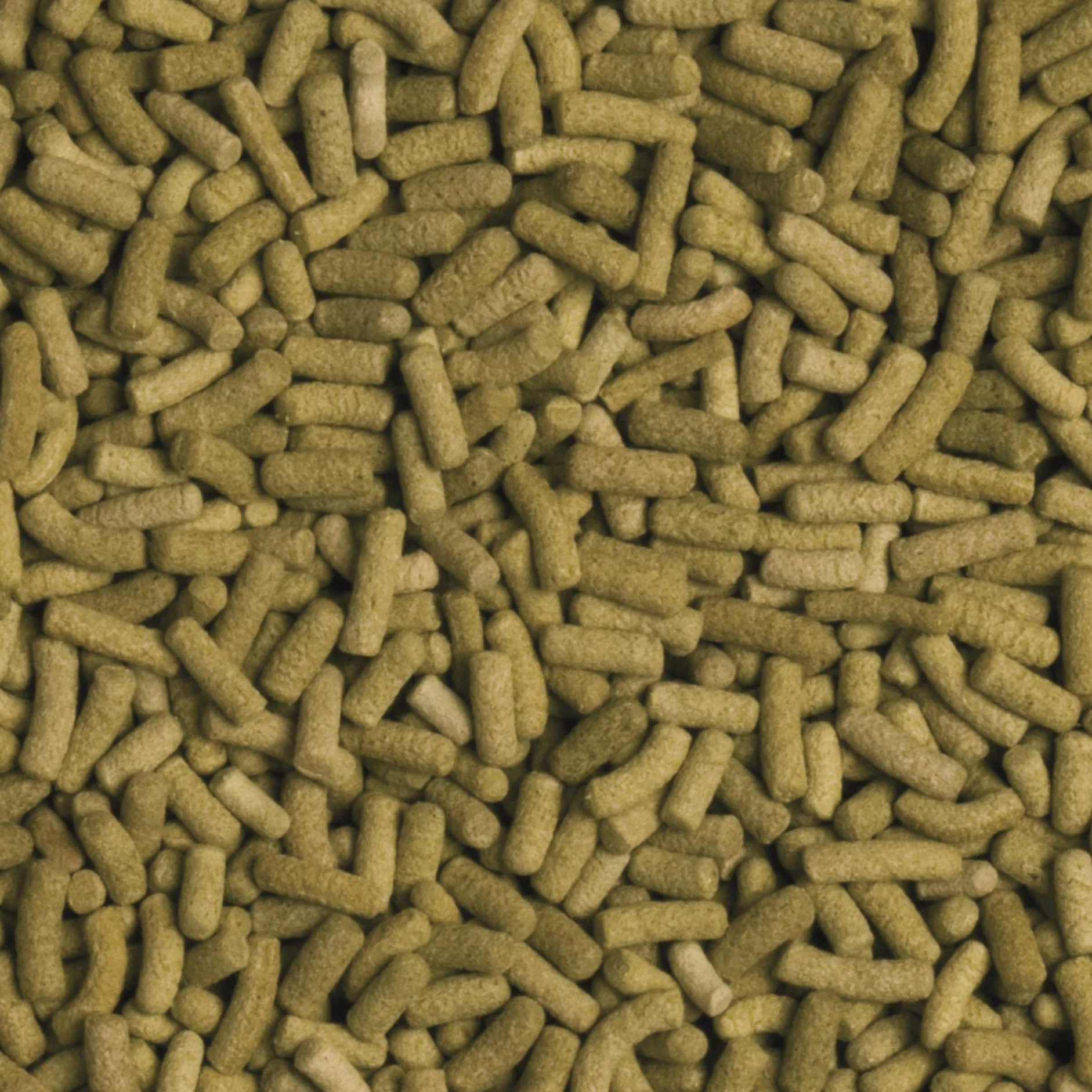 Tropical Wieloskładnikowy pokarm dla żółwi lądowych BIOREPT L. 5L / 4kg