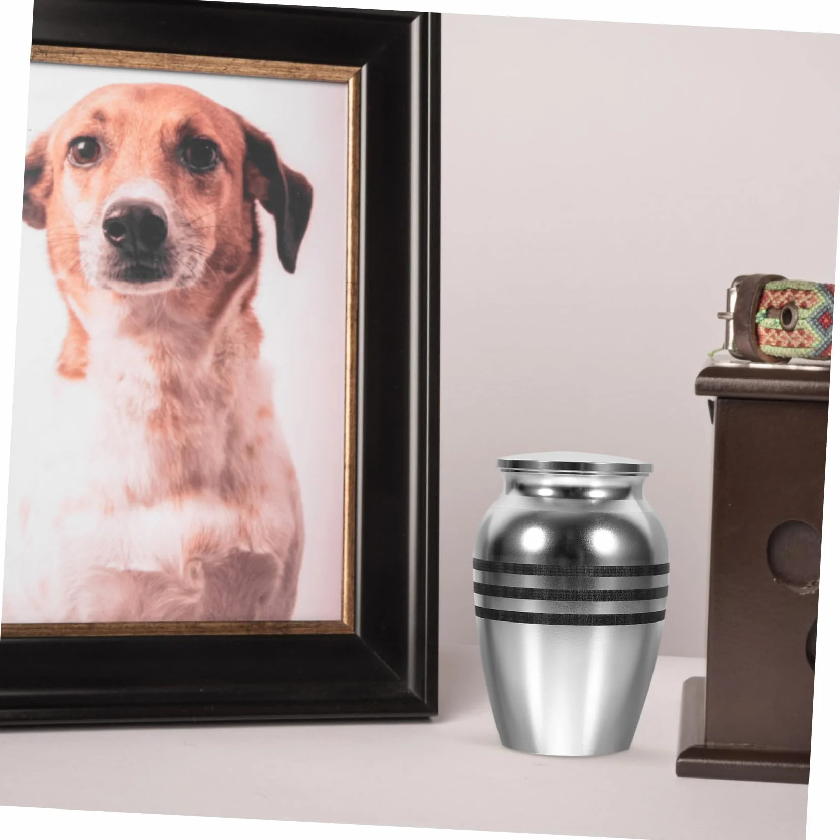 Pet Urn for Dogs and Cats Keepsake Ashes Container Stylish and Alloy Cinerary Casket for Pet Memorials