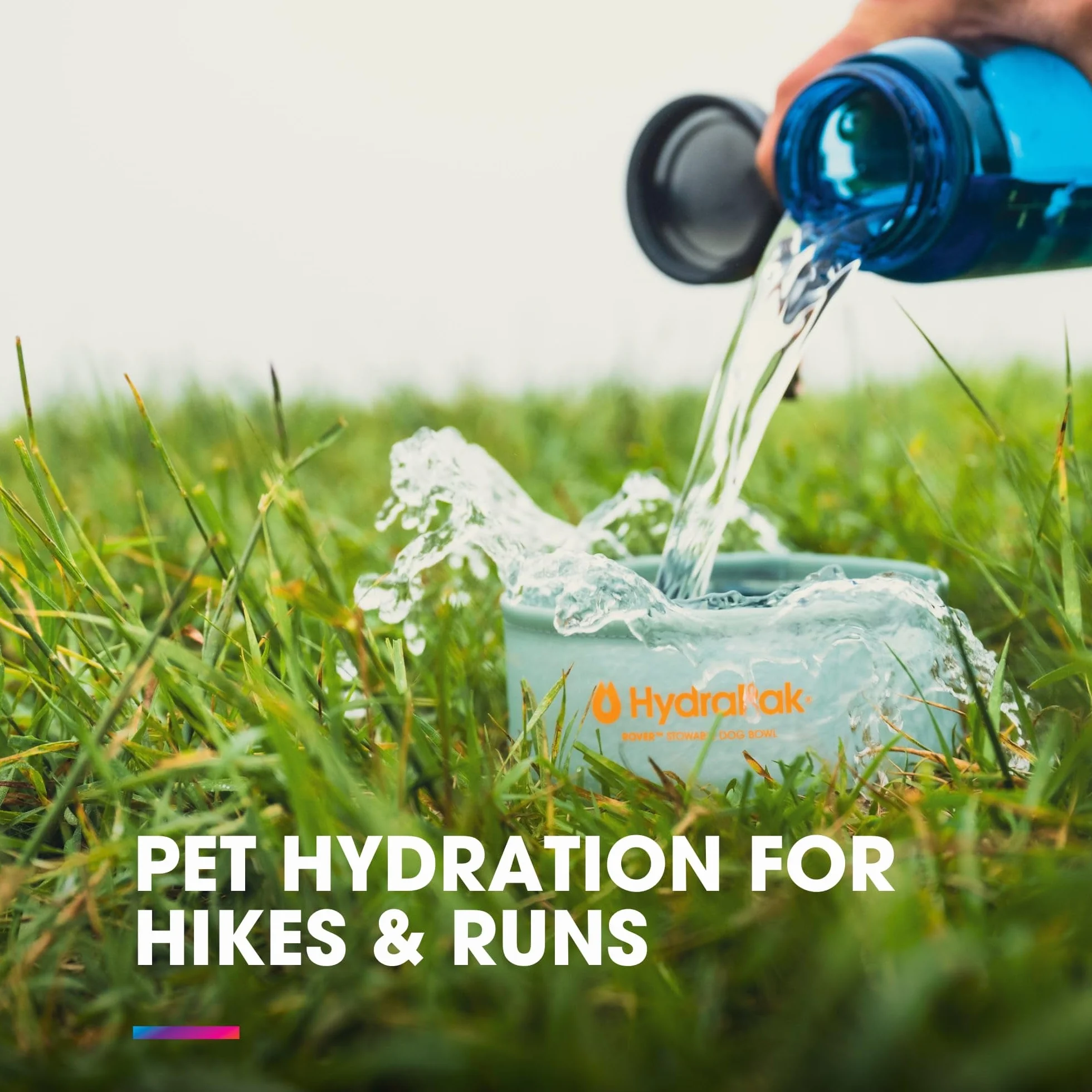 HydraPak Rover miska dla psa (500 ml; 481.9 g) - składana i pakowalna miska dla psa na jedzenie/wodę