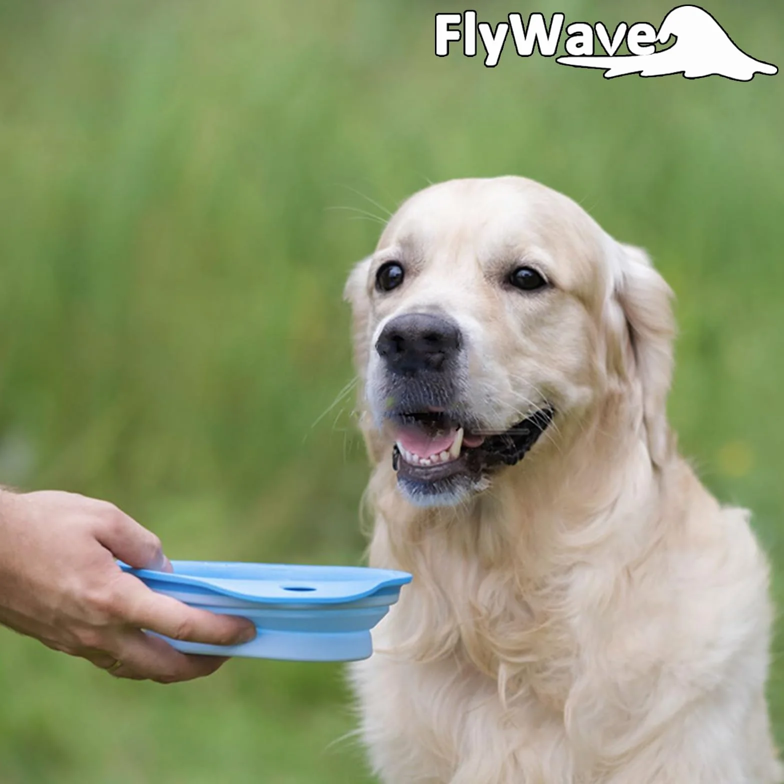 FlyWave Składana miska dla psa w podróży, miska podróżna dla psa, zabezpieczona przed wyciekiem, miska do picia dla psa na podróż, składana, 350 ml, niebieska
