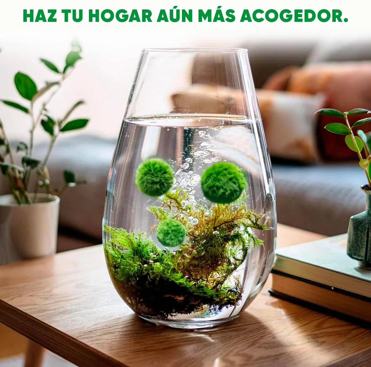 20 + 1 szt. kule mchu akwarium Cladophora aegagropila linneiae mech rośliny akwariowe rośliny wodne dekoracja rośliny prawdziwe marimo piłki mchu akwarium marimo moosball (1-3 cm)