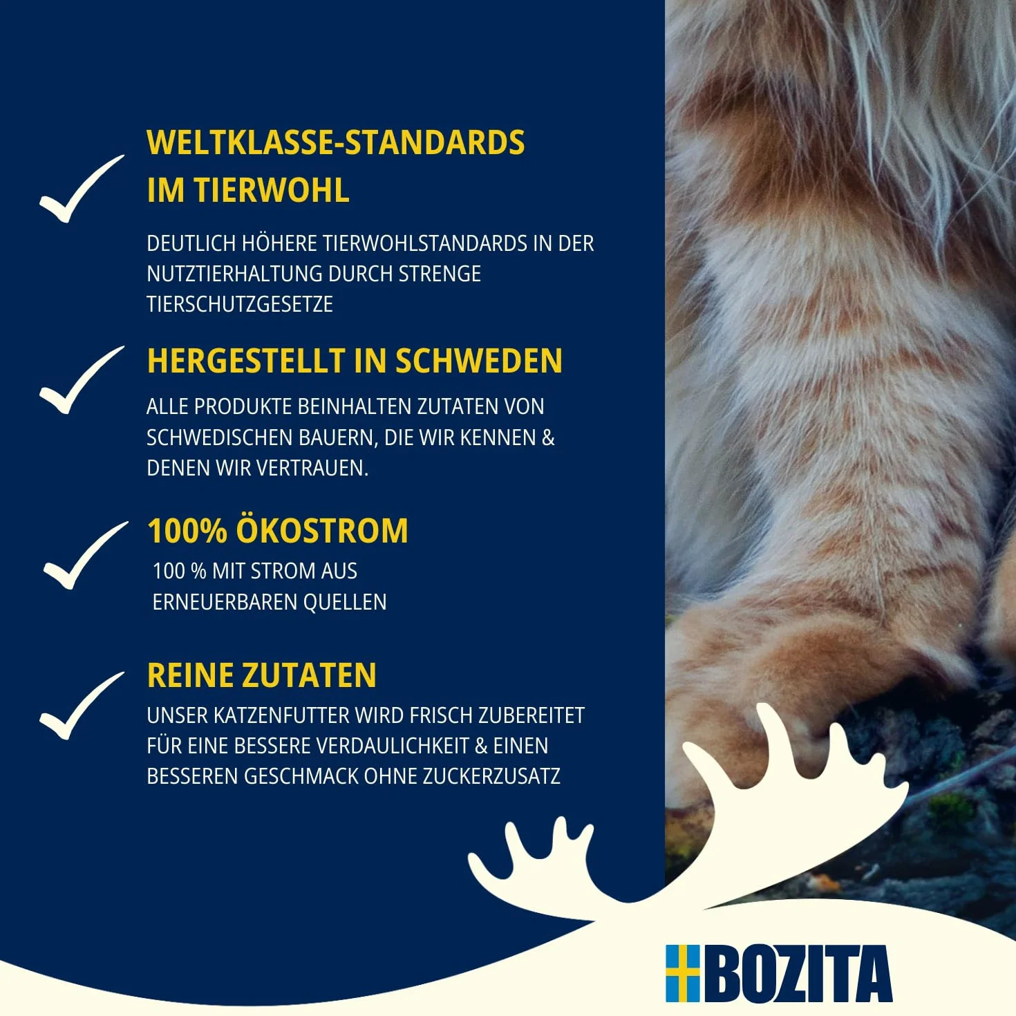 Bozita Karma mokra dla kotów w galaretce z mieloną wołowiną 6x370 g bez zbóż i cukru 7,5% białka 5% tłuszczu