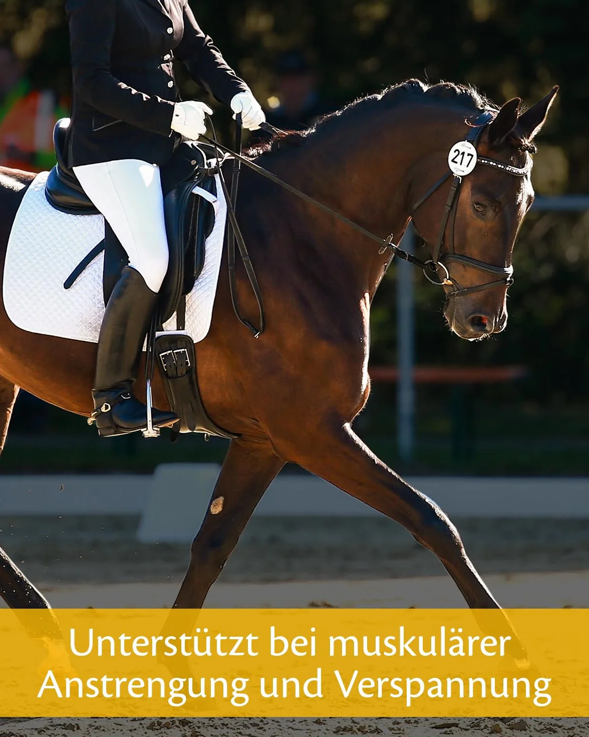 EQUISTRO Excell E | Karma uzupełniająca dla koni | Wspomaga pracę mięśni | Pomaga przy przeciążeniu mięśni i napięciu | 1 l
