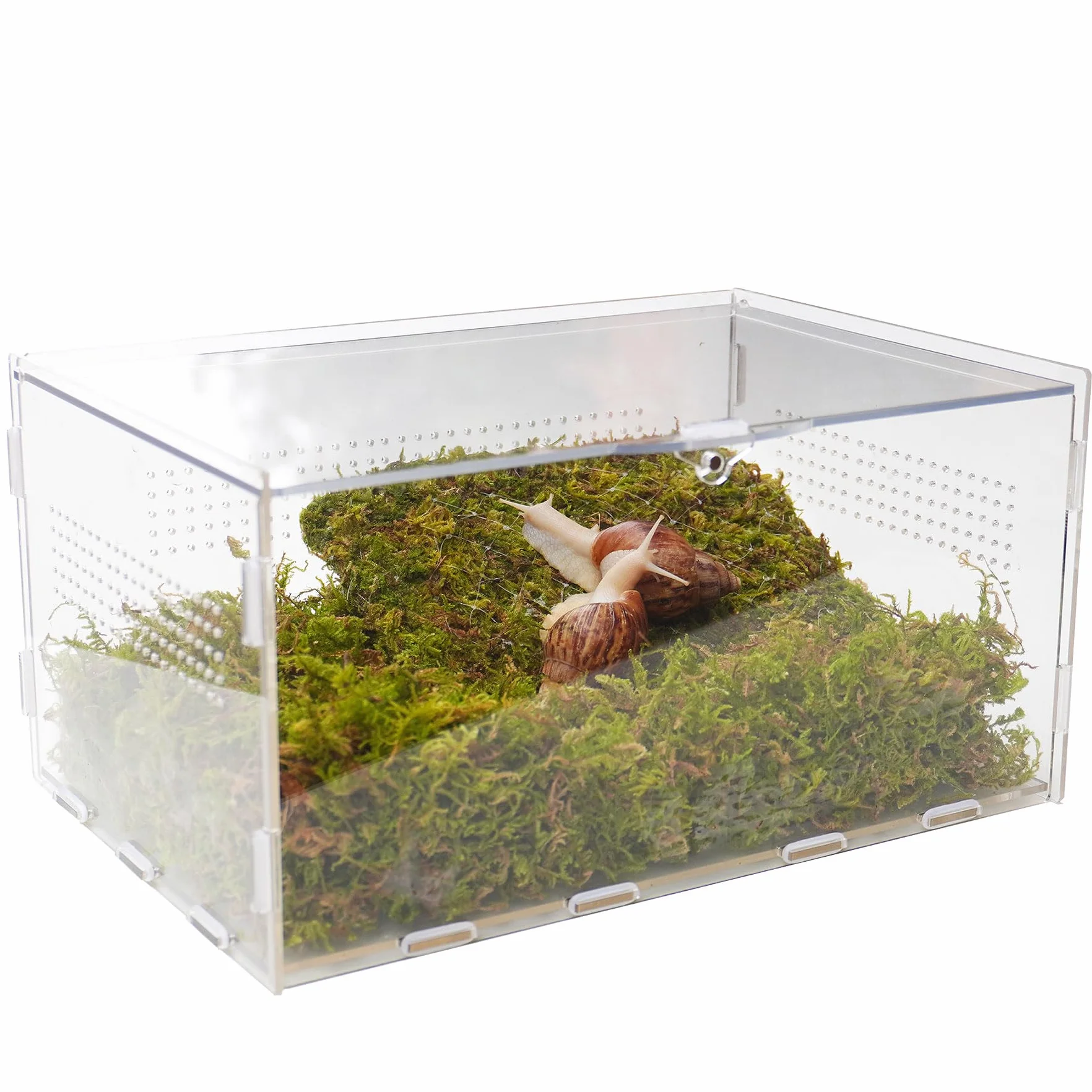 Zestaw terrarium dla zwierząt domowych ze ślimakiem o wymiarach 28,5 x 20 x 15 cm terrarium ze ślimakiem i ścianą wspinaczkową 18 cm
