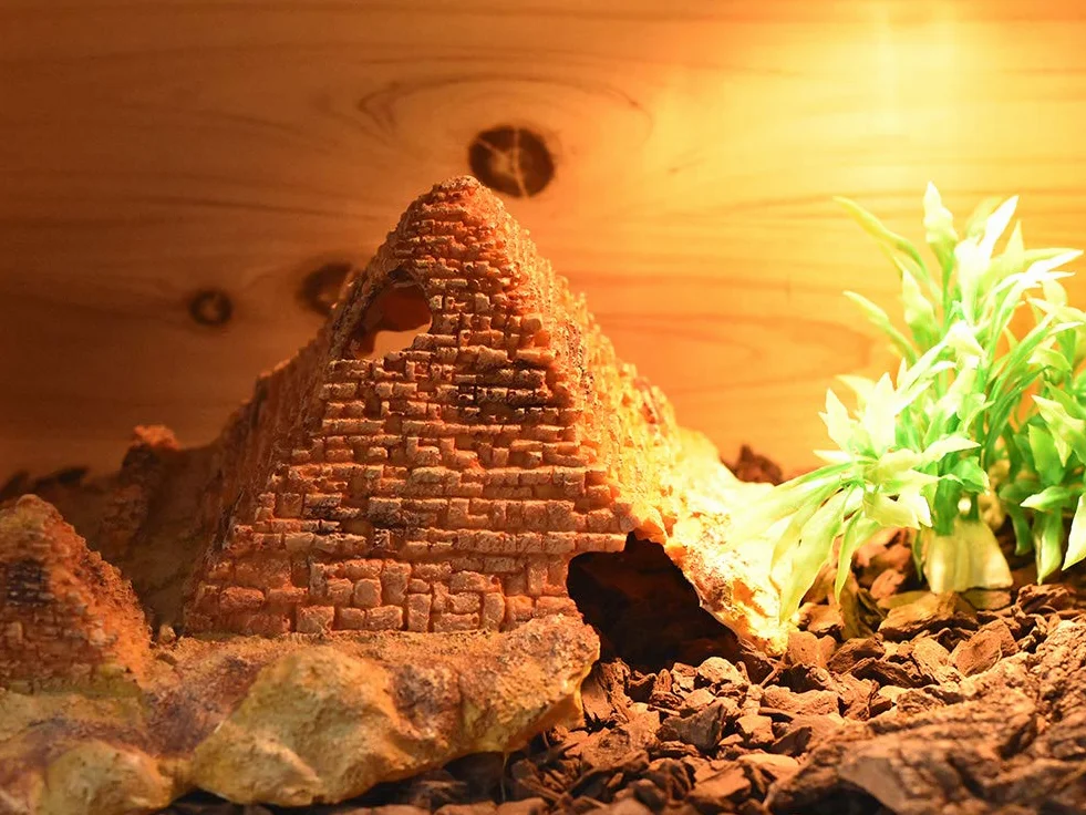OMEM Pudełko do hodowli gadów schronienie nawilżanie kryjówka i jaskinia terrarium siedlisko dekoracja kryjówka jaskinie