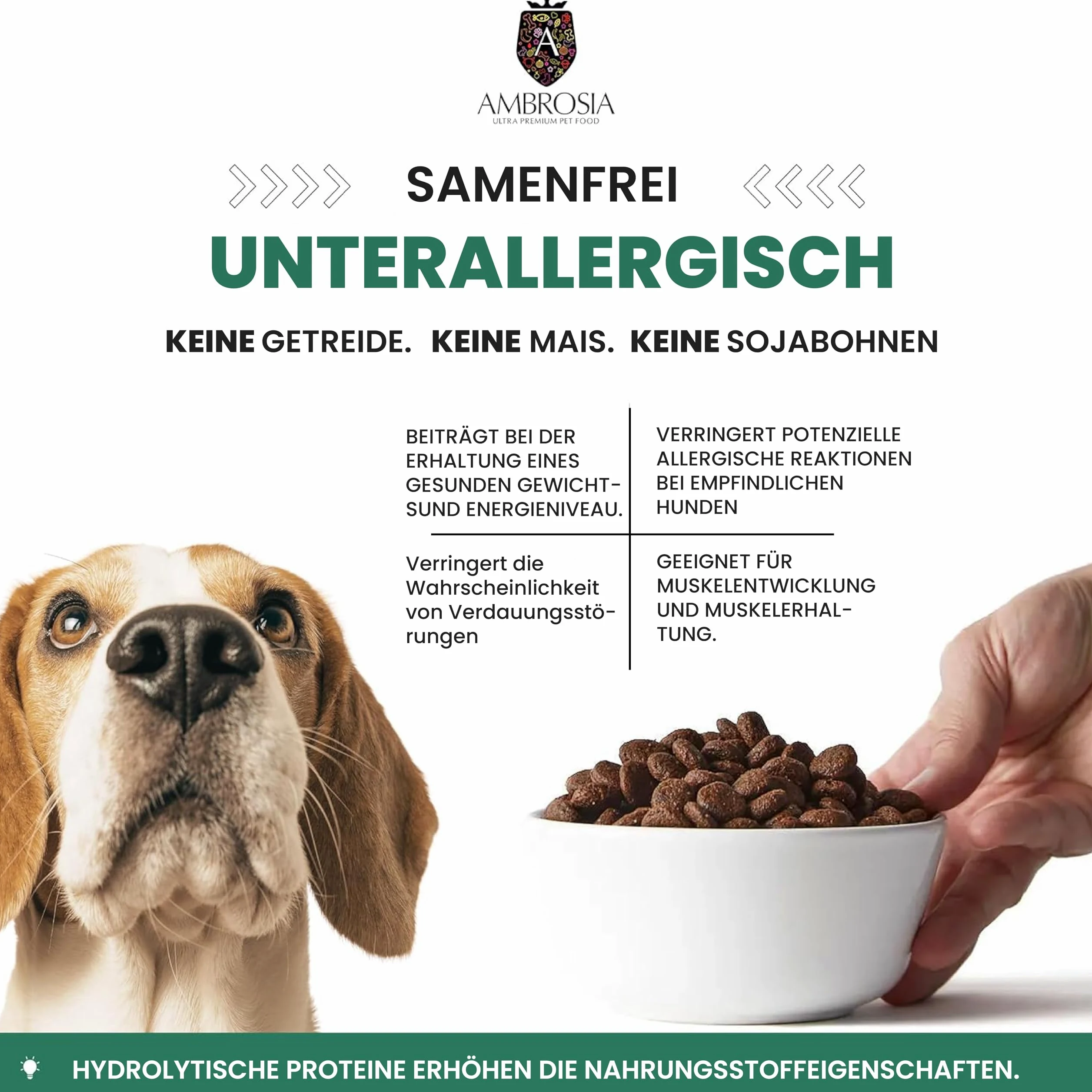 Ambrosia Ultra Premium Pet Food - Świeży indyk i łosoś – kontrola wagi – całościowo hipoalergiczna, nie zawiera zbóż, dla starszych i sterylizowana karma dla psów (12 kg)
