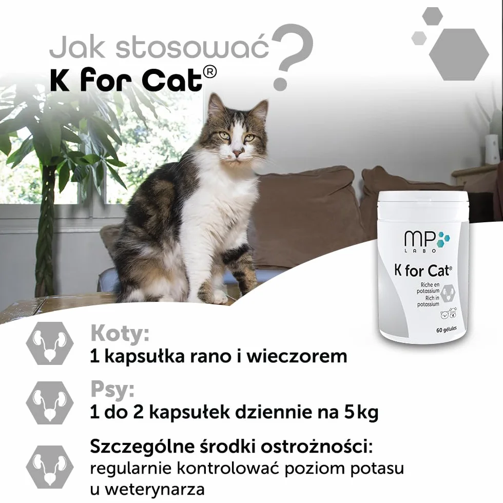 MP Labo K dla kotów 60 kapsułek dla psów i kotów - bogate w potas