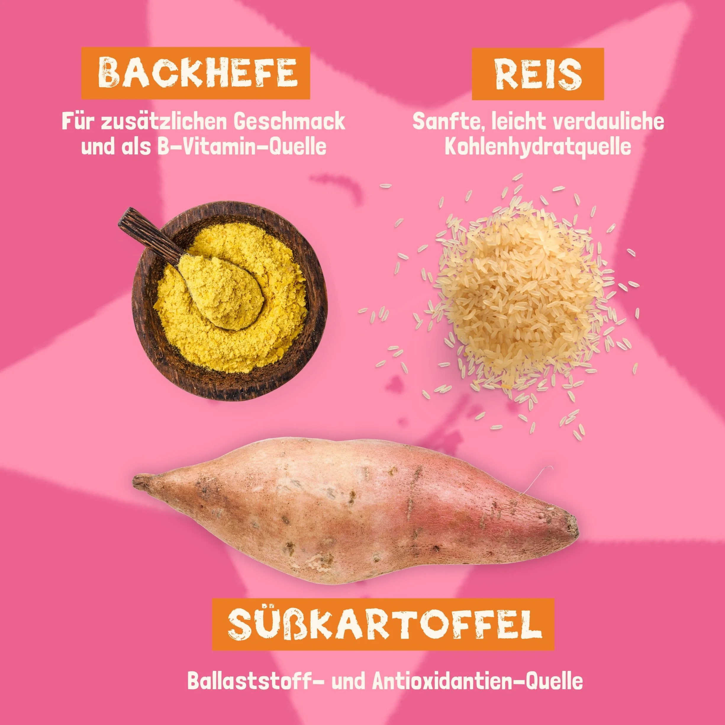 Knoopsnacks voor honden (6 x 180g) | Naturlijke trainingssnacks met 87% zoete aardappel, Rijst en Biergist