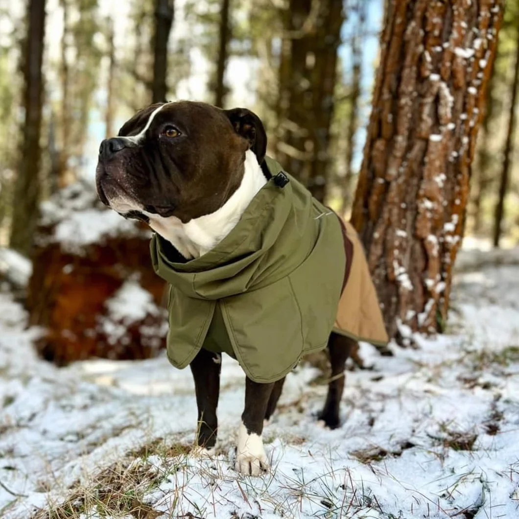 Spark Paws Płaszcz przeciwdeszczowy dla psa, wodoodporna, wiatroszczelna kurtka przeciwdeszczowa, dla małych, średnich i dużych psów, odblaskowy, oddychający, zakrycie całego ciała, suchy kombinezon -