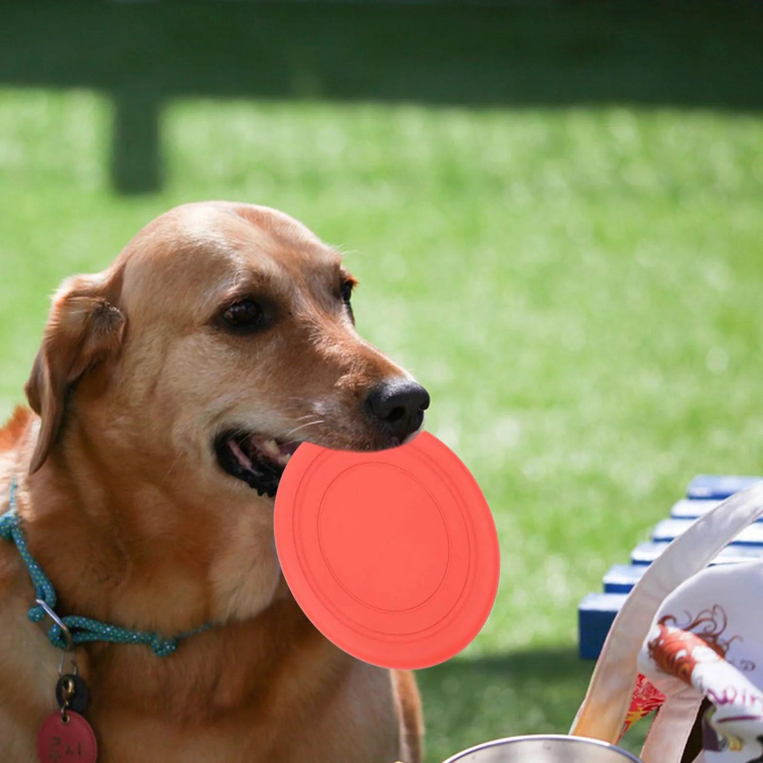 LIXIUHUI 6 szt. niezniszczalny pies frisbee zabawki treningowe, odporne na gryzienie frisbee, szkoleniowe zabawki dla zwierząt domowych, 100% nietoksyczne gumowe