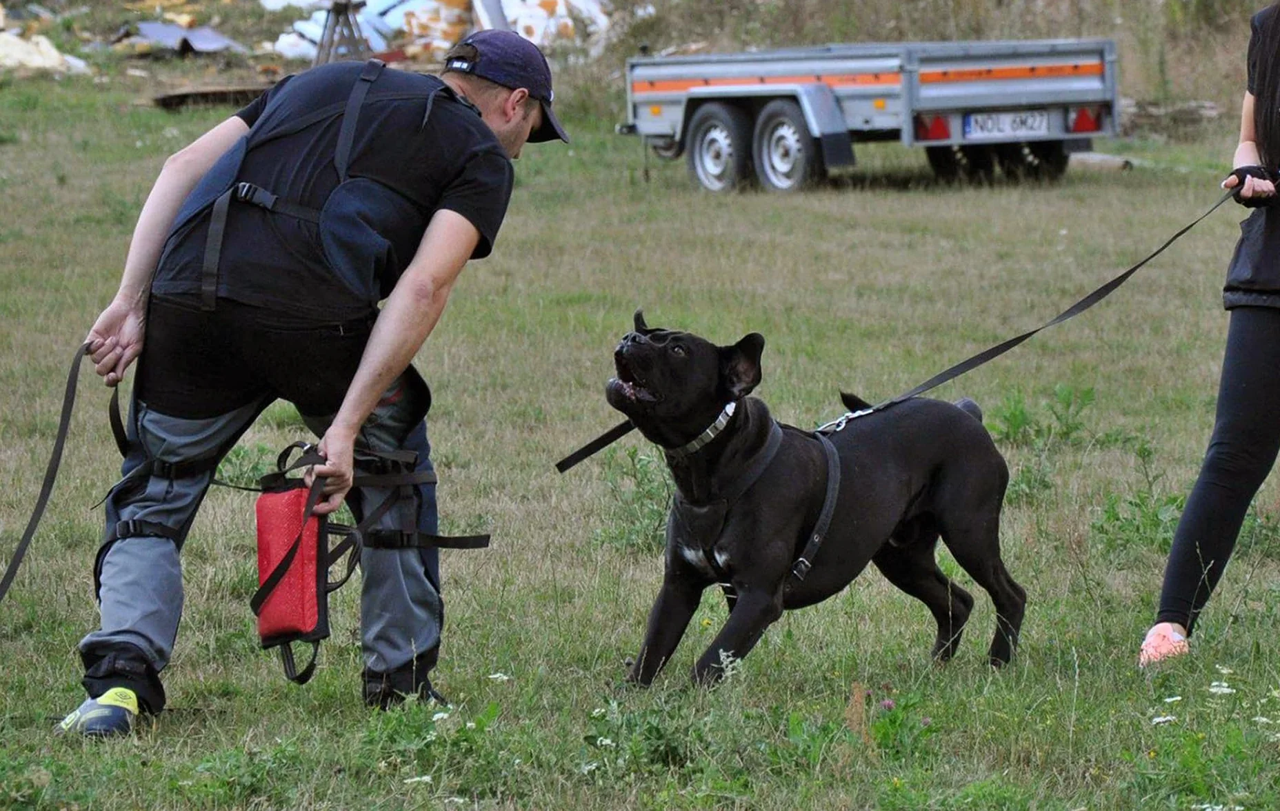 DINGO GEAR poduszka do gryzienia dla psa, ręcznie robiona klin z 3 uchwytami do treningu średnio miękka Nylcot, czarna S00527
