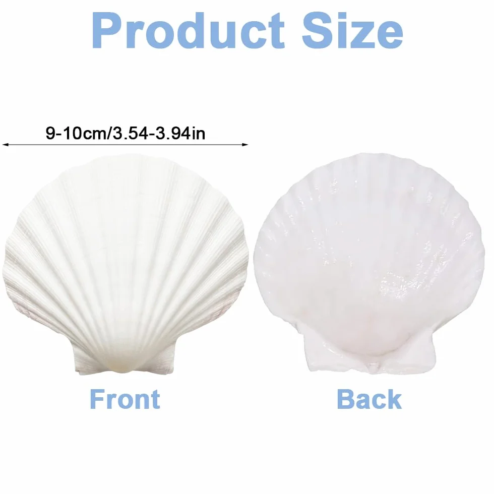 12 białych muszelek, 9-10 cm, duże muszle, muszle, naturalne muszle, do rzemiosła DIY, dekoracja kuchni, dekoracja przekąsek, dekoracja akwarium, na plażę