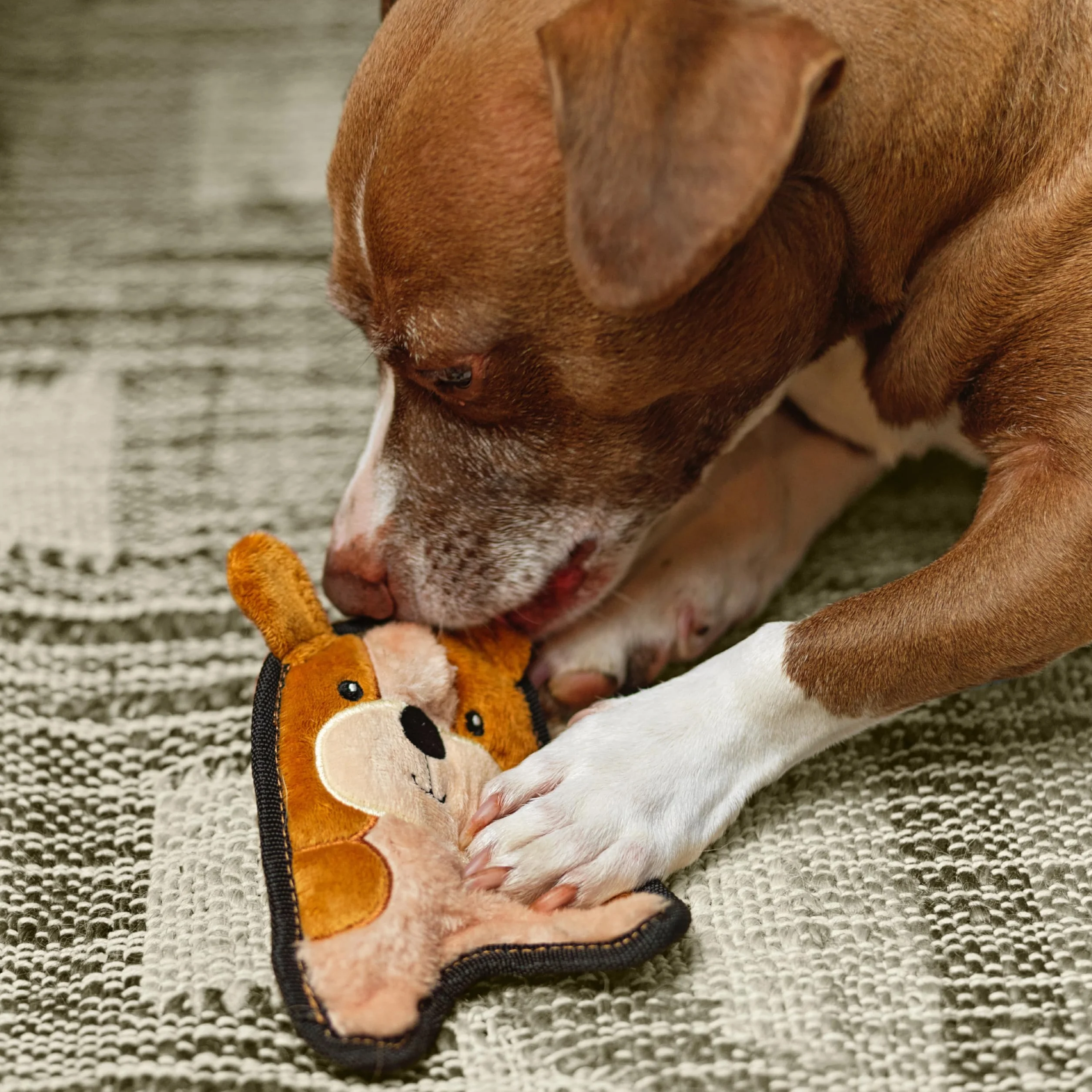 Outward Hound Invincibles Mini - Zabawka pluszowa dla psów - mały szczeniaczek - kolor brązowy