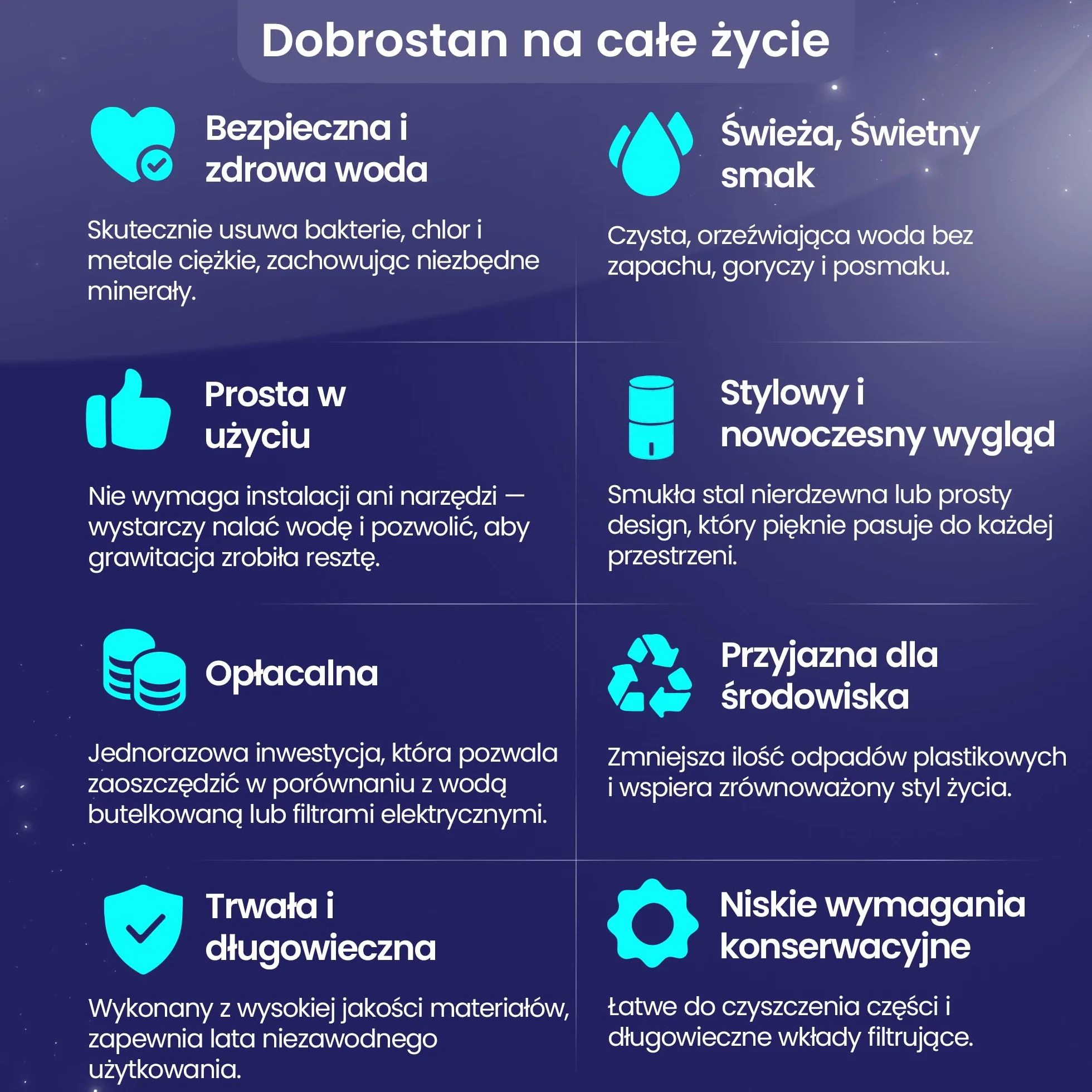 Wkłady filtracyjne PHOENIX GRAVITY Smart Carbon – zestaw 2 wkładów węglowych do filtrów wody Doulton