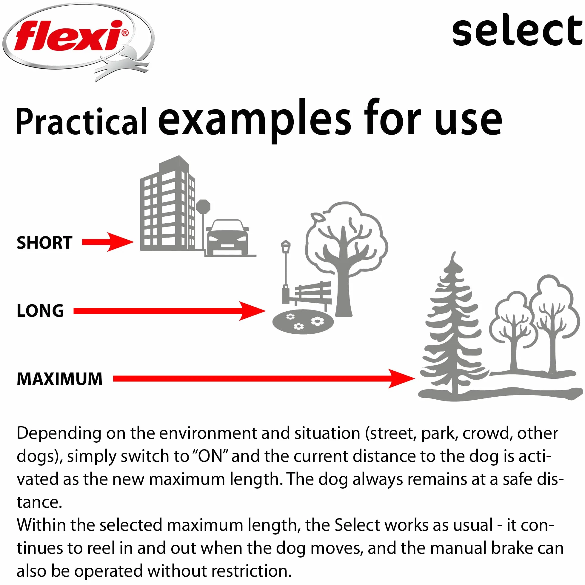 flexi® Select pas 7 m jasnoszary, regulowana smycz zwijana w zakresie od 0 do 7 m, dla psów do 25 kg