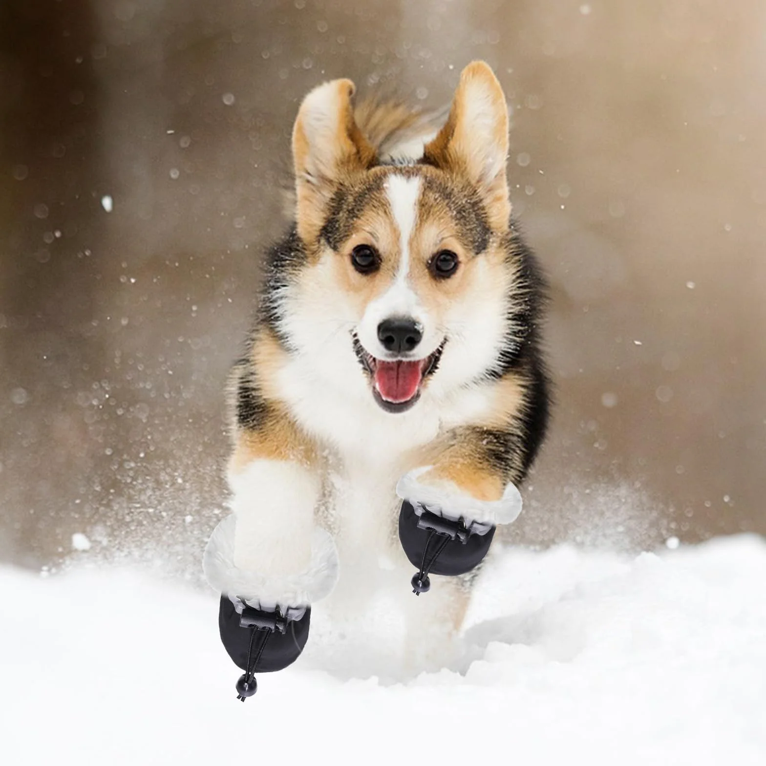 Paw Protector wodoodporne buty dla małych średnich psów 4 sztuki antypoślizgowe buty dla psów z odblaskowymi paskami dla psów