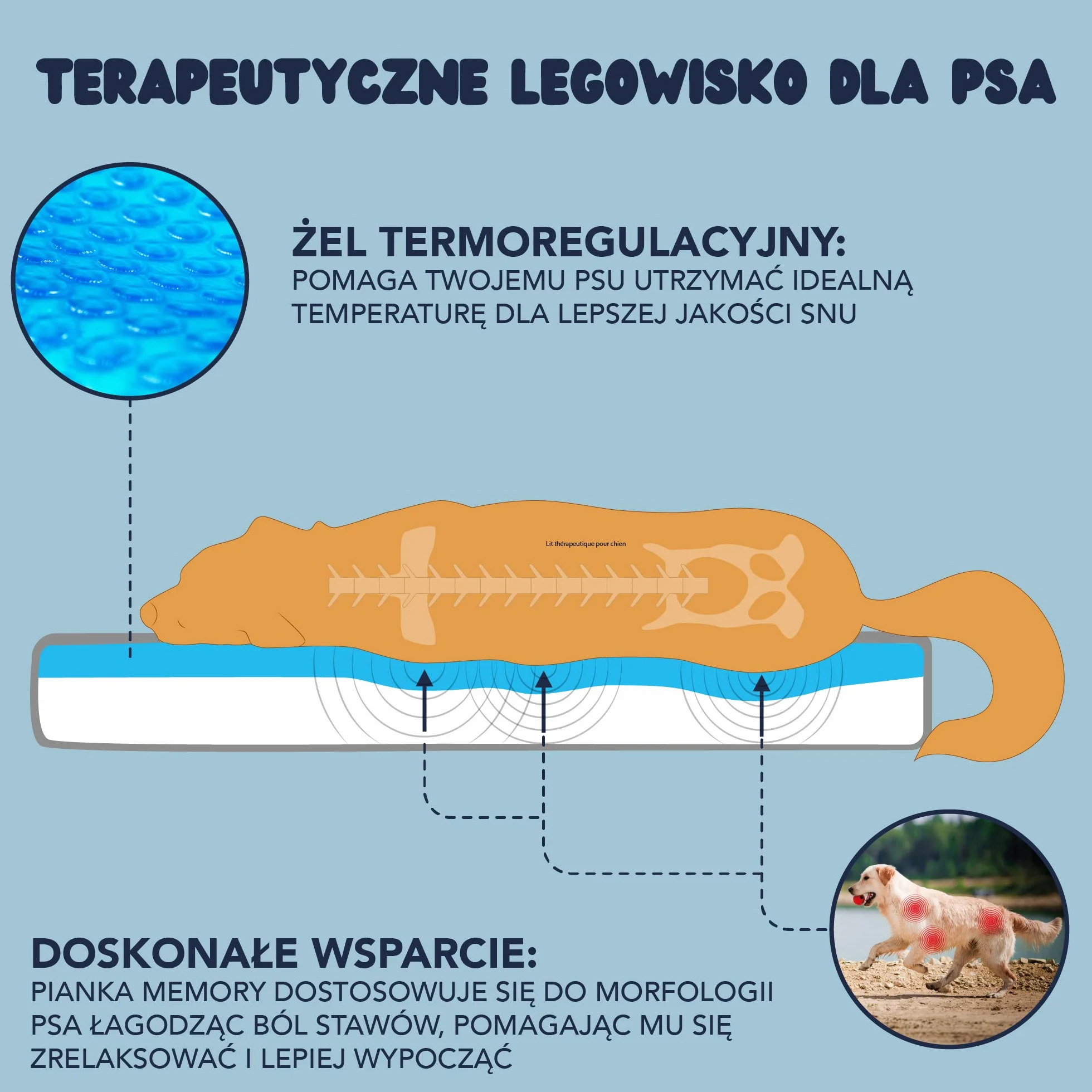 Legowisko dla dużych psów – XL – ortopedyczna poduszka dla psów – zdejmowana poszewka, nadaje się do prania, 110 x 70 x 9 cm
