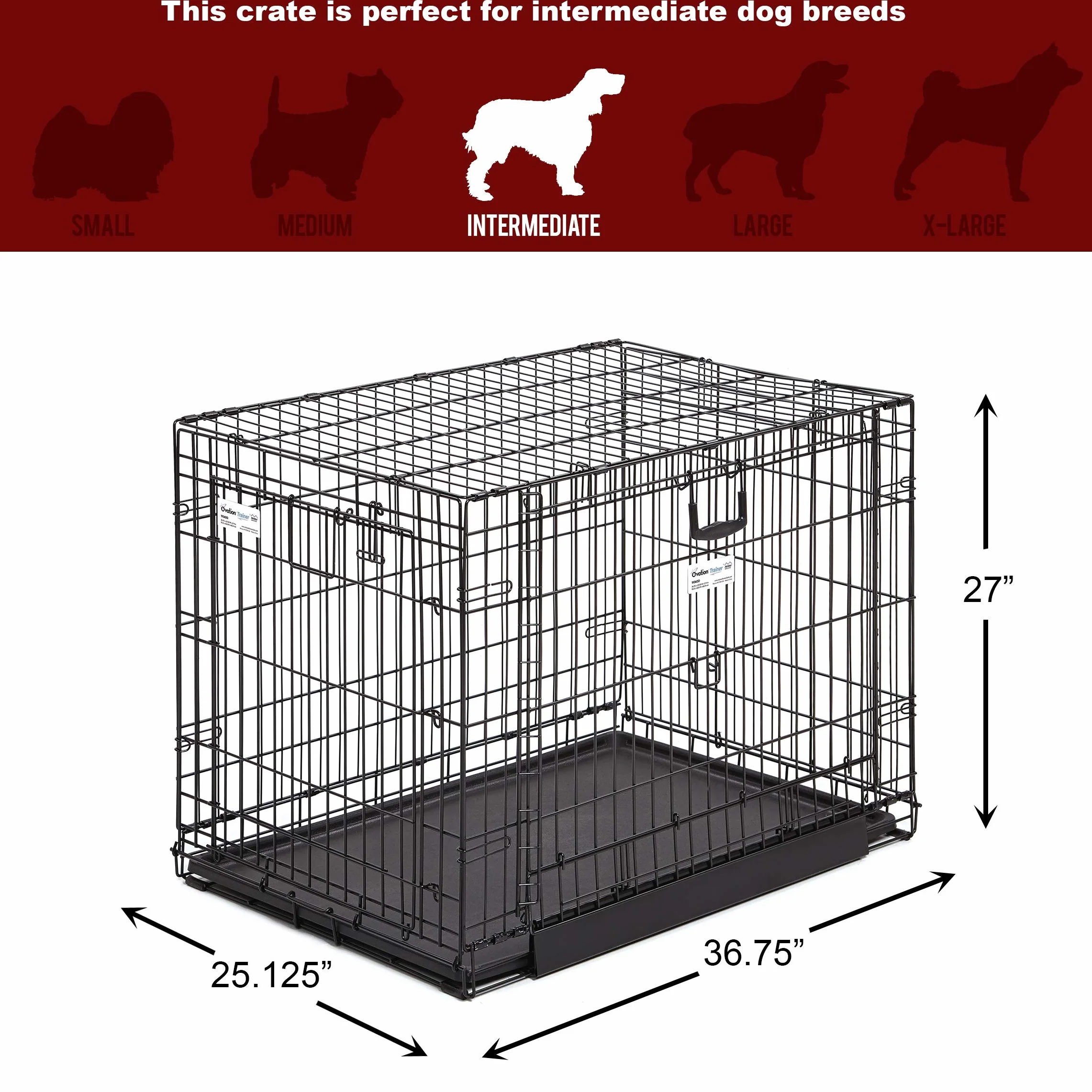 MidWest Homes for Pets Intermediate Ovation Double Door 36-inch Folding Metal Dog Crate, Front and Up & Away Side Doors, Space-Saving Design