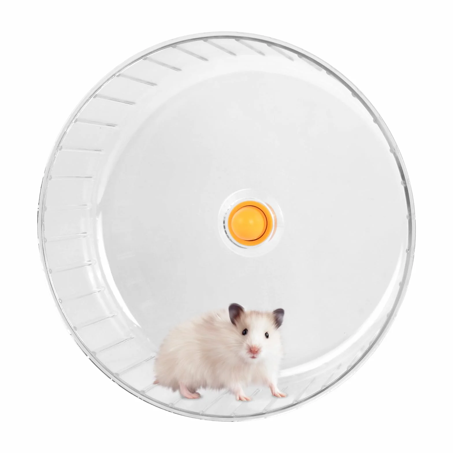 Kółko dla chomika cichy spinner, koło chomika 17 cm, spinner dla chomika, koło treningowe dla chomików, ciche zabawki dla chomików przezroczyste, koło dla chomików z tworzywa sztucznego dla szynszyli