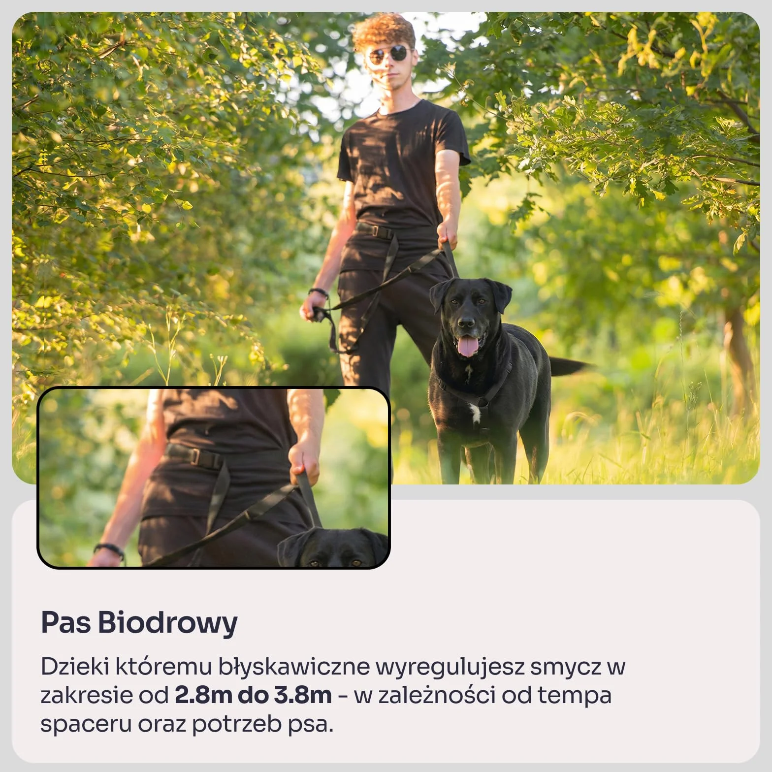 Chaba Smycz dla Średniego i Dużego Psa z Amortyzatorem i Pasem Biodrowym | Regulowana 2.8-3.8m | Szerokość 2.5cm | Redukująca Efekty Szarpnięć | Do Biegania | 3 Możliwości Noszenia | CZARNA