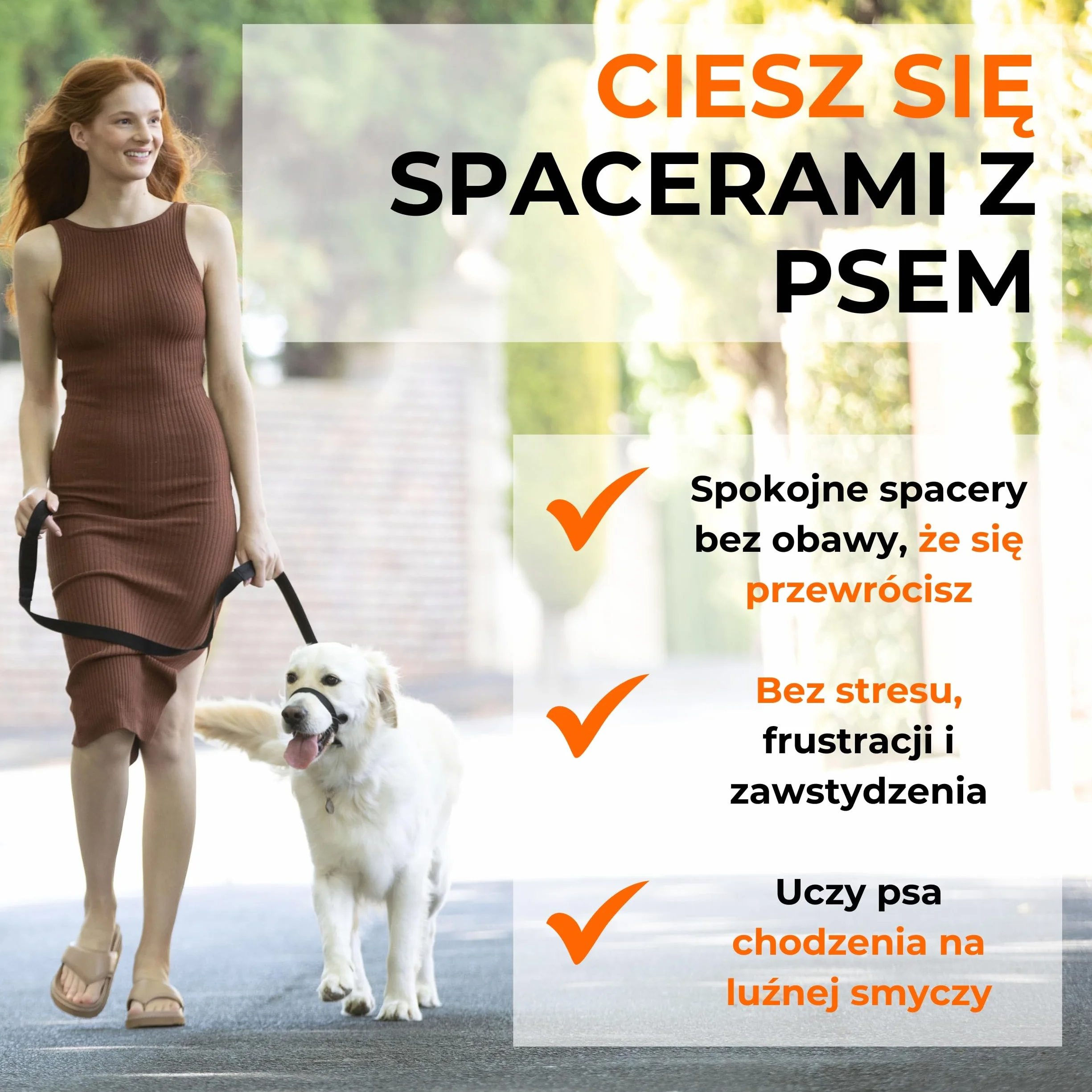 Canny Collar – Obroża Treningowa Przeciw Ciągnięciu | Kantar na Głowę, Uczy Chodzenia na Luźnej Smyczy | Spokojne, Bezstresowe Spacery | Czarna, Rozmiar 2