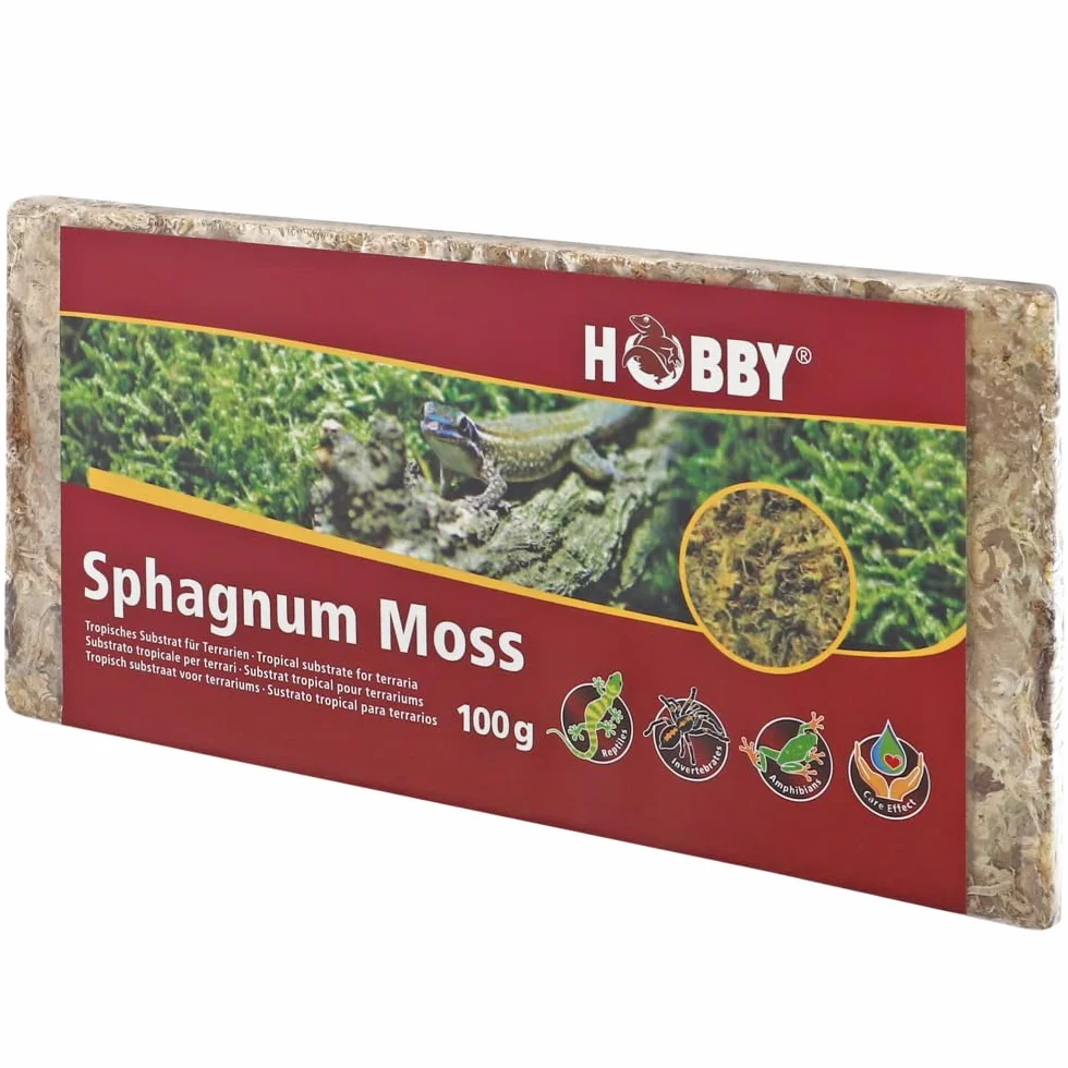 Dohse Aquaristik Spaghnum Moss Podłoże do Terrariów, Zielony, 4,5 l