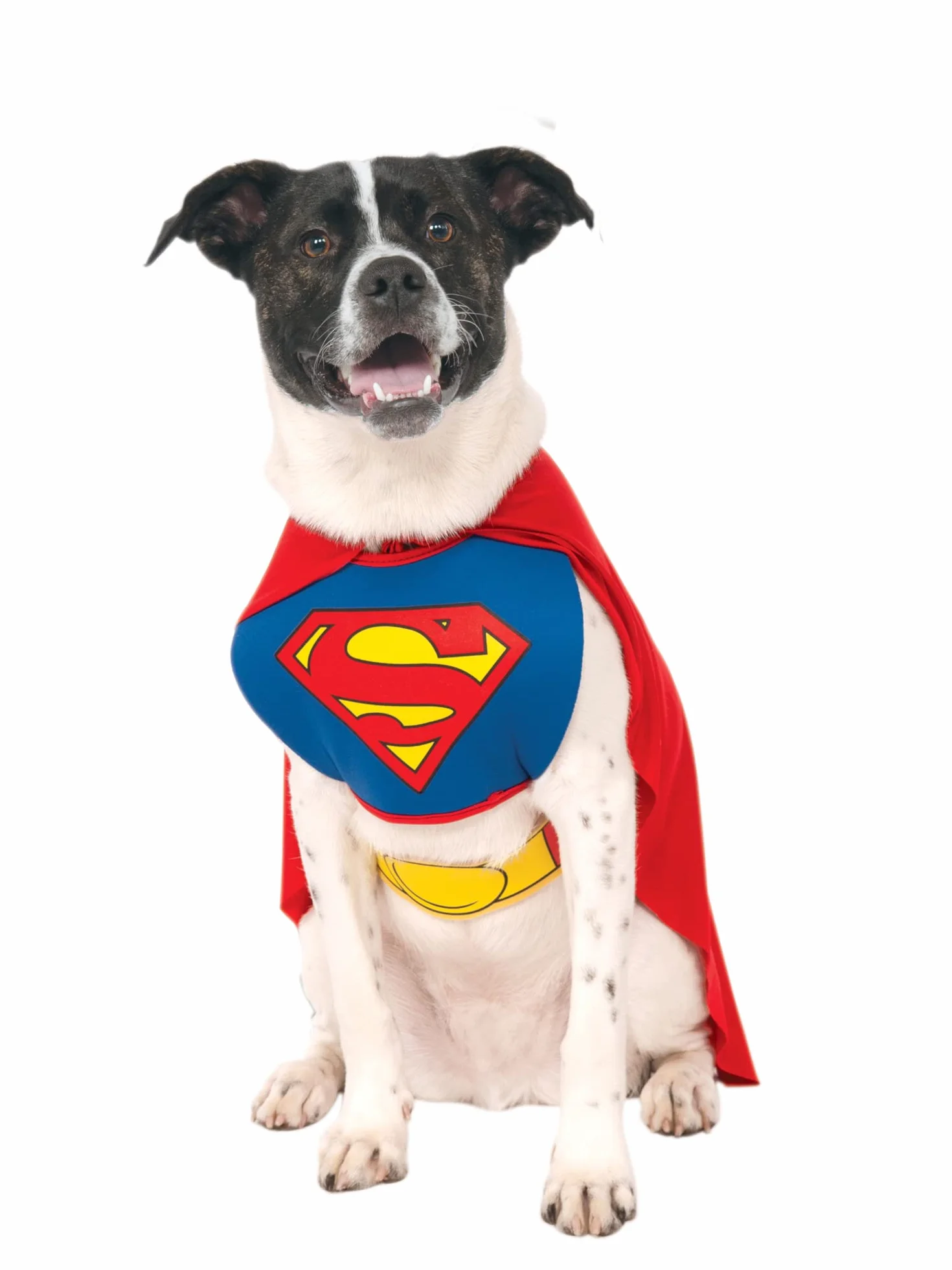 Rubie's Oficjalny kostium dla psa, Superman