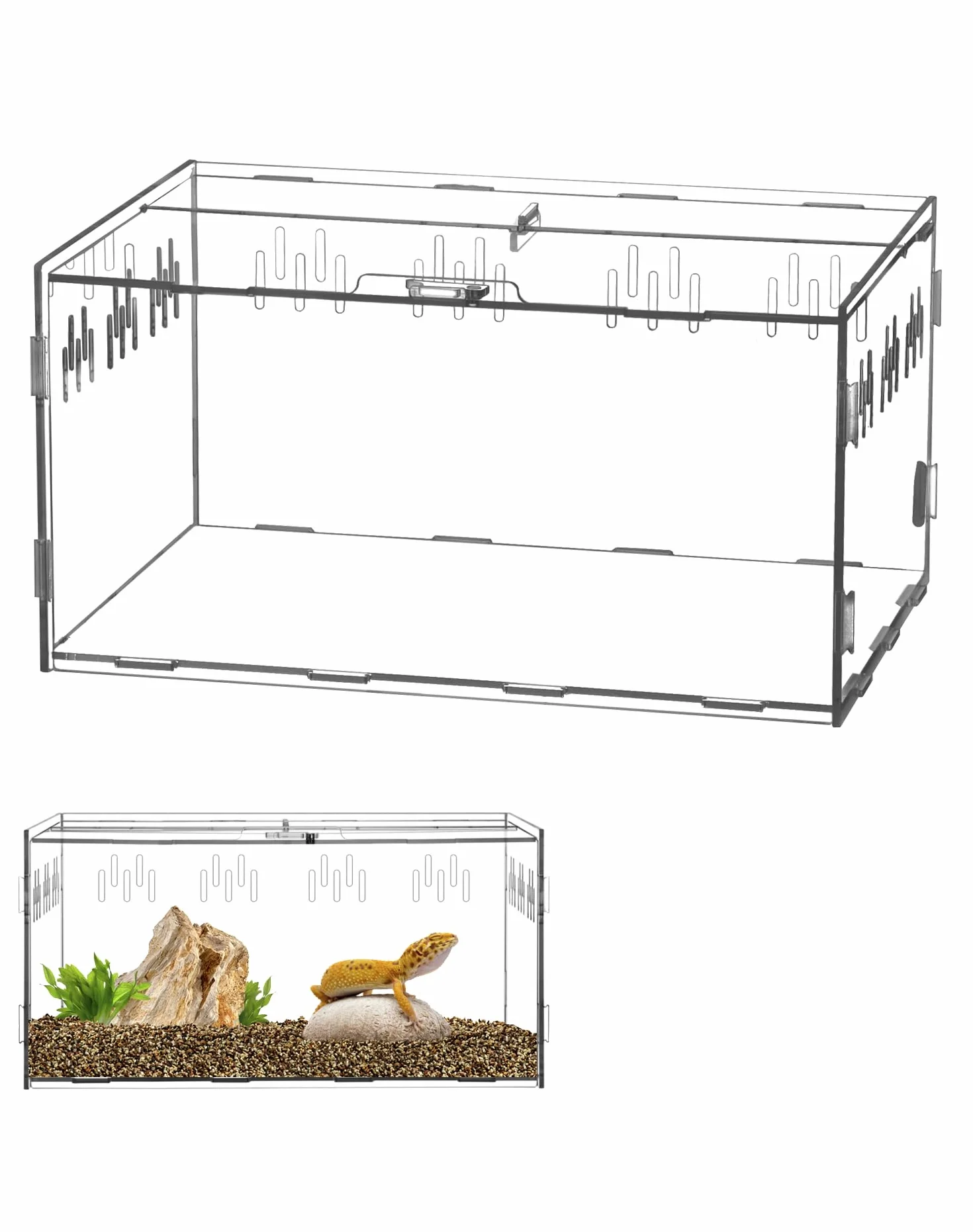 QWORK® pudełko do karmienia gadów z akrylu, pudełko do karmienia, 30x20x15cm dla modliszek, pająków, jaszczurek, ślimaków