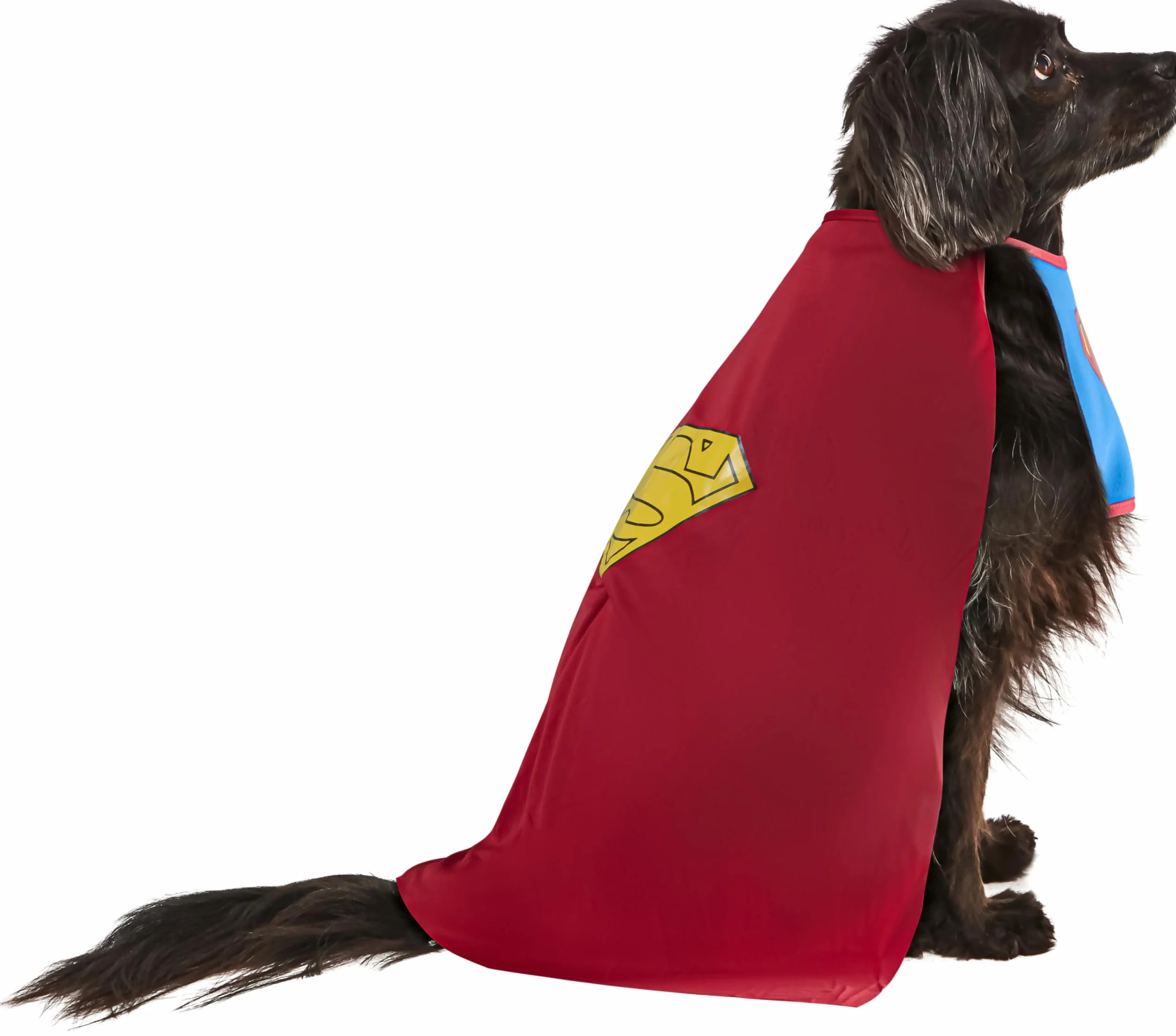 Rubie's Oficjalny kostium dla psa, Superman