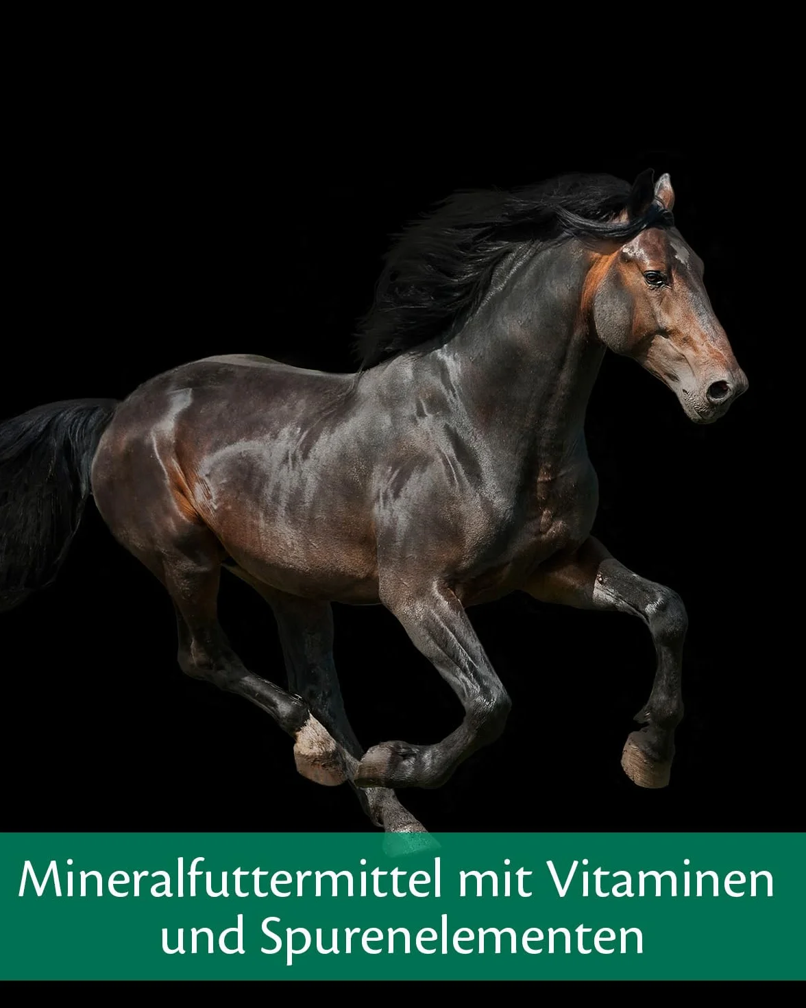 EQUISTRO® Mega Base | karma uzupełniająca dla koni | wysokiej jakości karma mineralna wspomagająca ssanie zapotrzebowania na składniki odżywcze | 3 kg