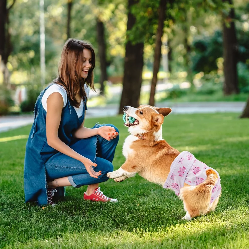 Aomig Pieluchy dla psów, nadające się do prania, wielokrotnego użytku spodnie na nietrzymanie moczu na okresy fizjologiczne, wygodna higieniczna pieluszka, królik + sowa + uśmiechnięta