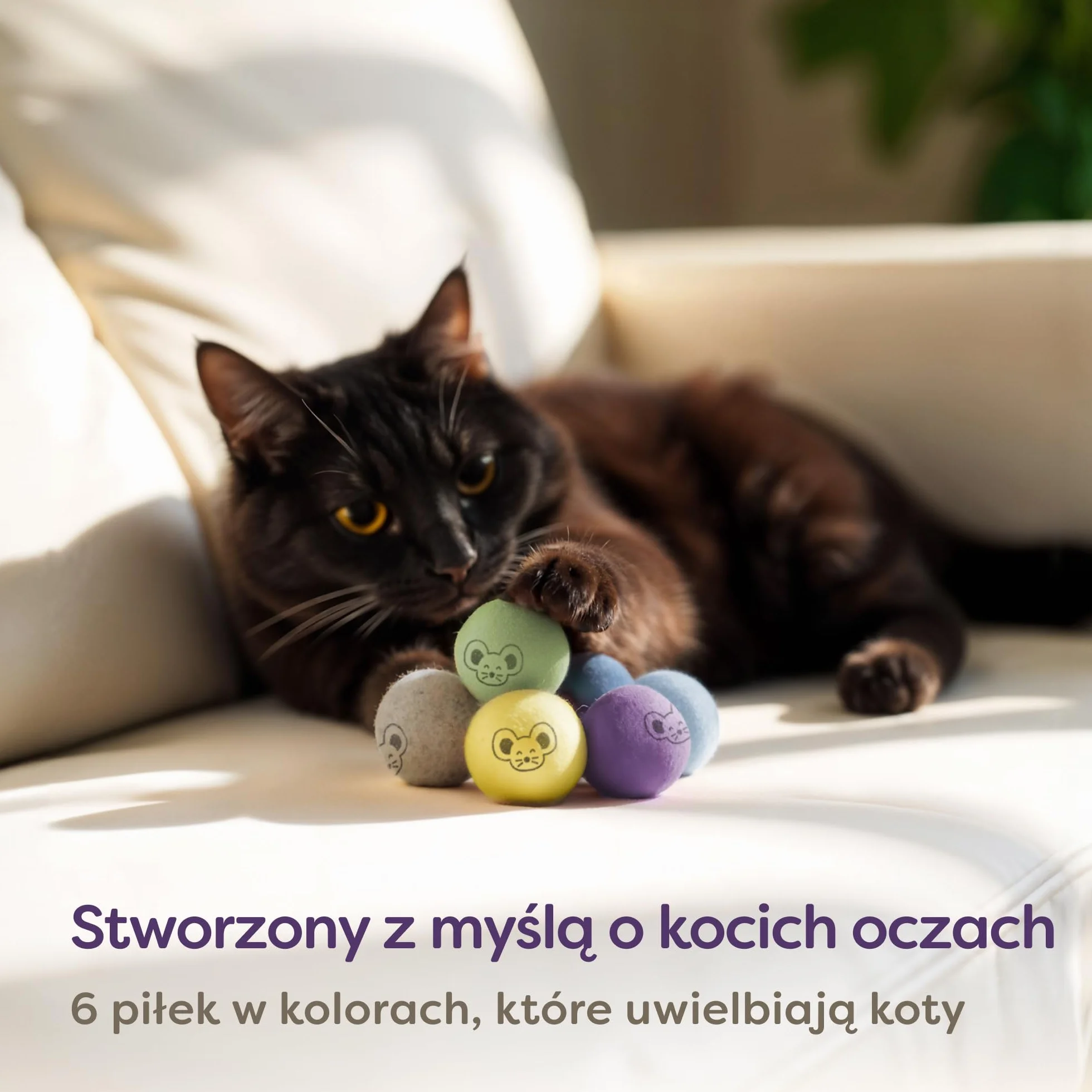 Knupis filcowe kulki dla kota 6 kulek z wełny ekologiczna zabawka w jasnych kolorach torba do przechowywania
