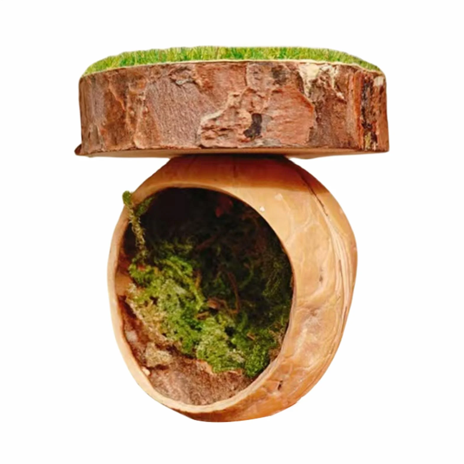 Spider Hide Shelter Magnetic Pet Habitat 1.57x2.36 Inches Handmade Reptile Accessory Jumping Spider Tarantula House