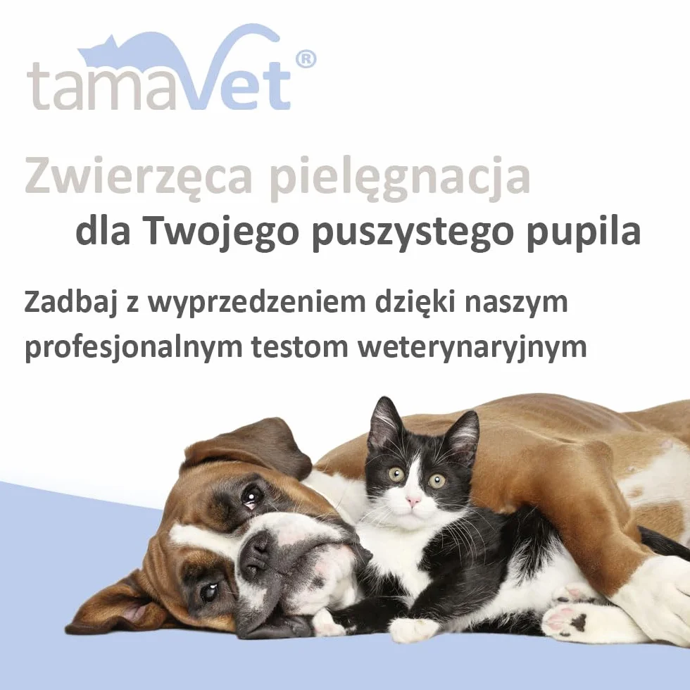 Multi 2TD Szybki test Giardia i Cryptosporidium parvum – 5 testów do wykrywania giardii i kryptosporidium u psów i kotów