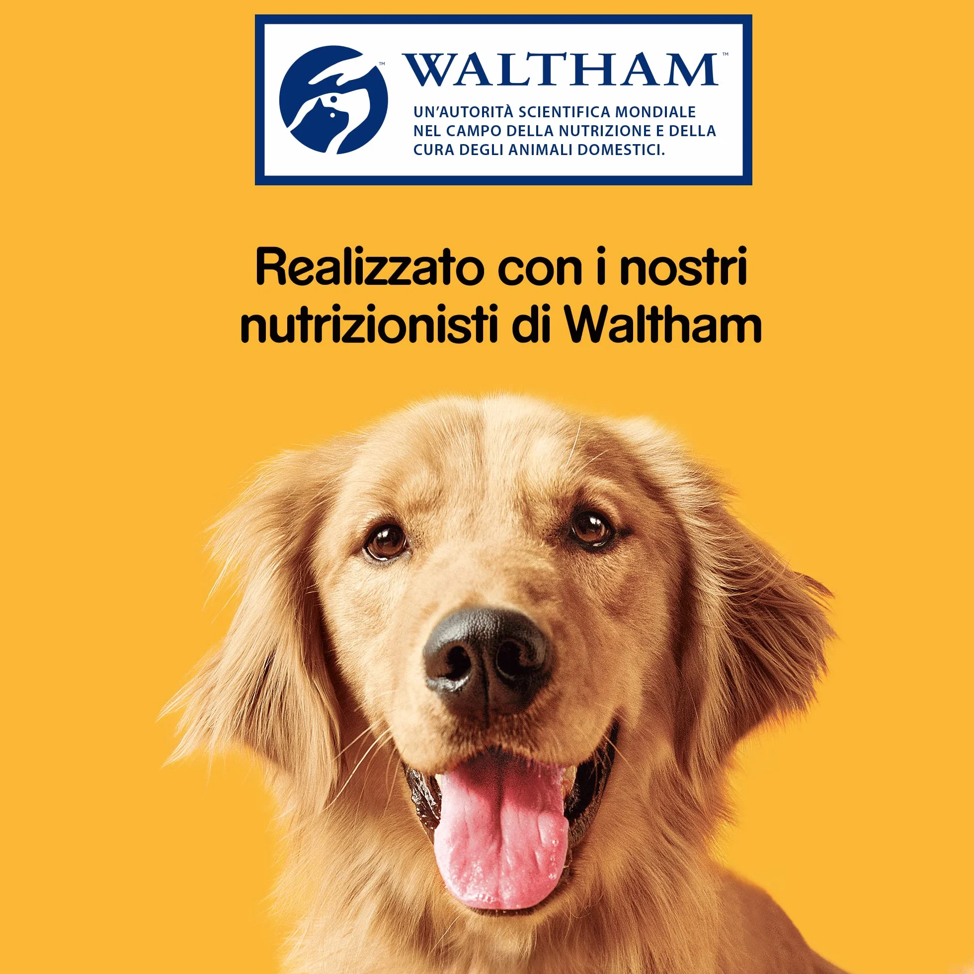 Pedigree Dentastix Snack do higieny jamy ustnej (Duży pies +25 kg), 270 g 105 sztuk - 15 opakowań po 7 sztuk (105 sztuk)