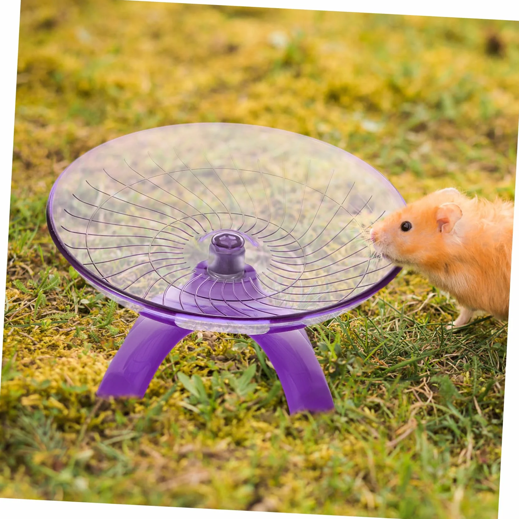 Ciche Koło Do Biegania Dla Chomika Dla Małych Zwierząt Akcesorium Do Ćwiczeń Chomików Jeżów i Wiewiórek Mały