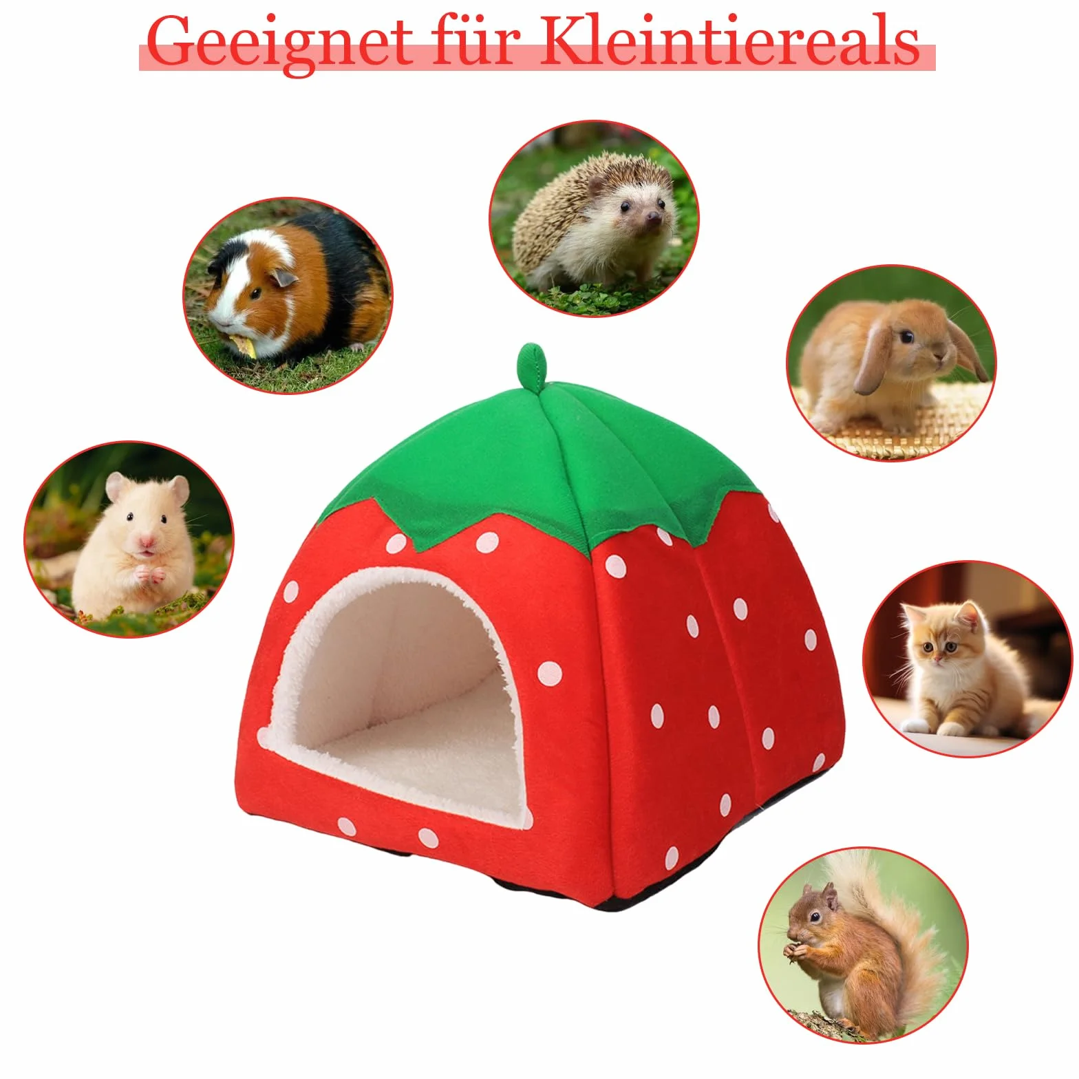 Domek dla świnki morskiej, przytulna jaskinia z wyjmowaną matą, łóżko dla świnki morskiej, szczurów, akcesoria dla królików miniaturowych, chomików, chomików, wiewiórek (24 x 24 cm, czerwony)