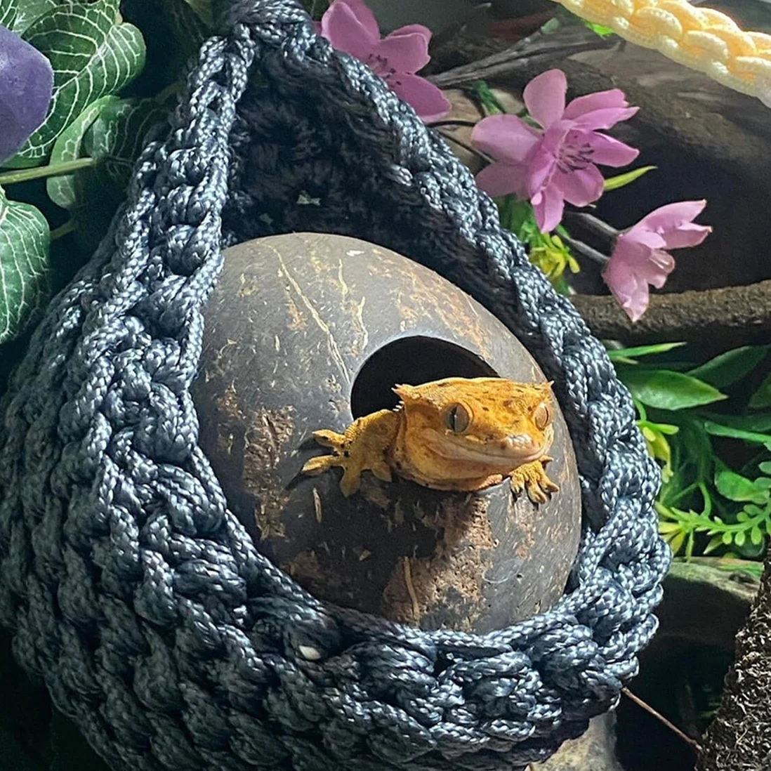 Brodaty smok hamak dla gadów, akcesoria, leżak jaszczurka, wiszący hamak terrarium dla gadów, kameleonów, gekonów, węży, igwany, szary