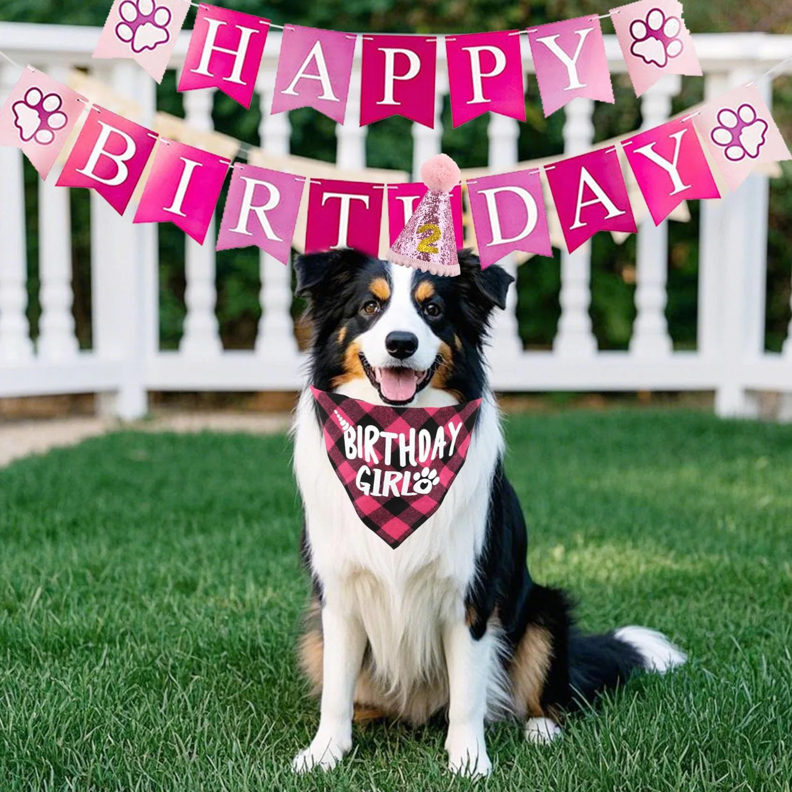 Kapelusz urodzinowy dla psa, zestaw 5 sztuk, bandana z 10 numerami Bling i banerem Happy Birthday, dekoracja urodzinowa (różowa)