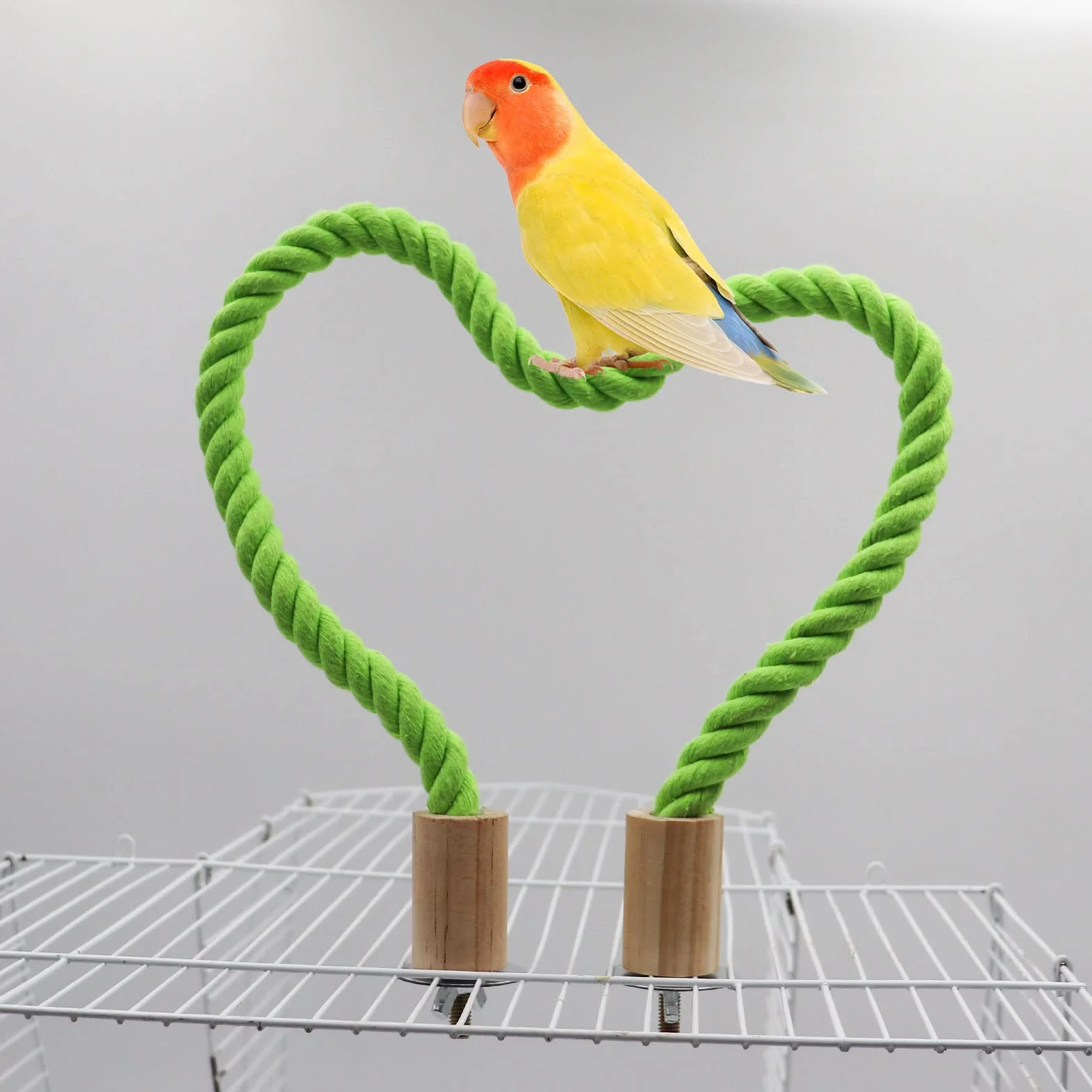 Dnoifne Huśtawka dla ptaków, klatka dla ptaków, akcesoria do stojaka, stojak na klatkę dla ptaków, stojące okonie wspinaczkowe dla papugi, papugi, budgies, gołąbków (S 60 cm)