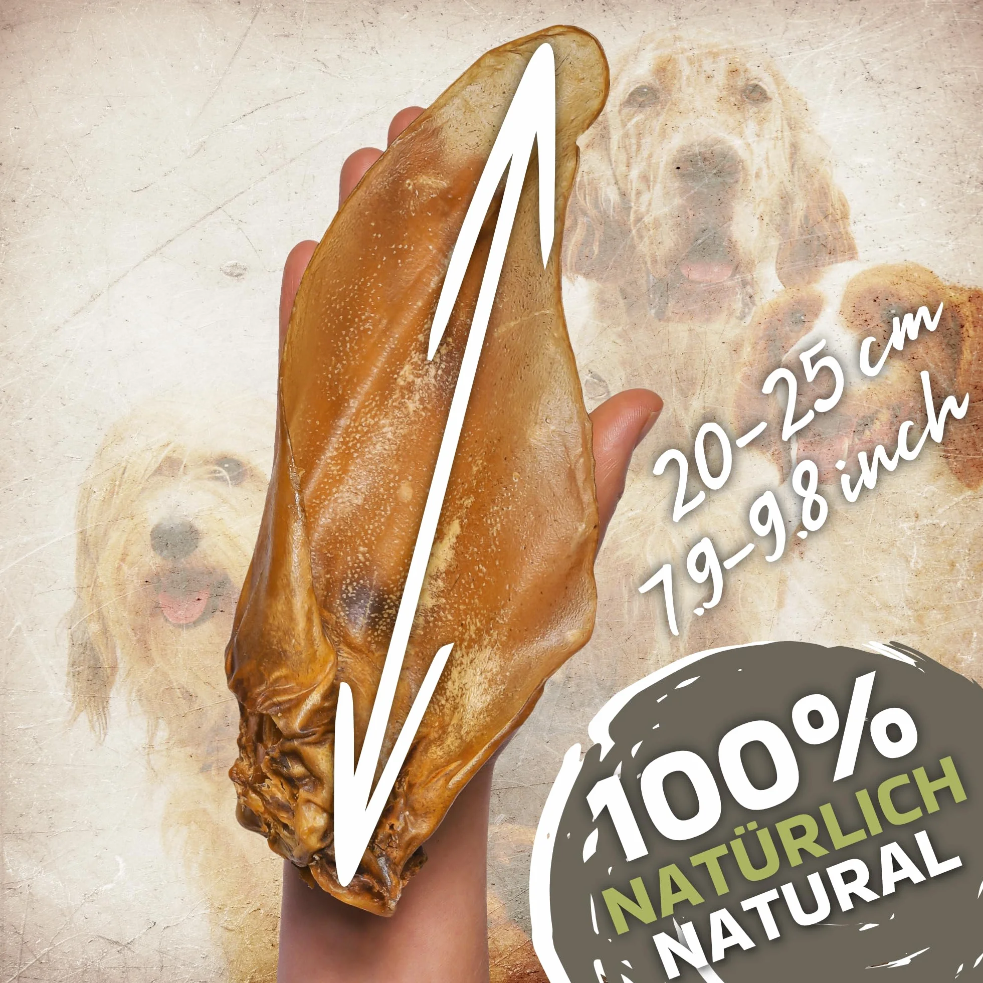 Zestaw 10 naturalnych uszu wołowych z muszlą dla psów – wzmocnienie zdrowia i higieny jamy ustnej psa